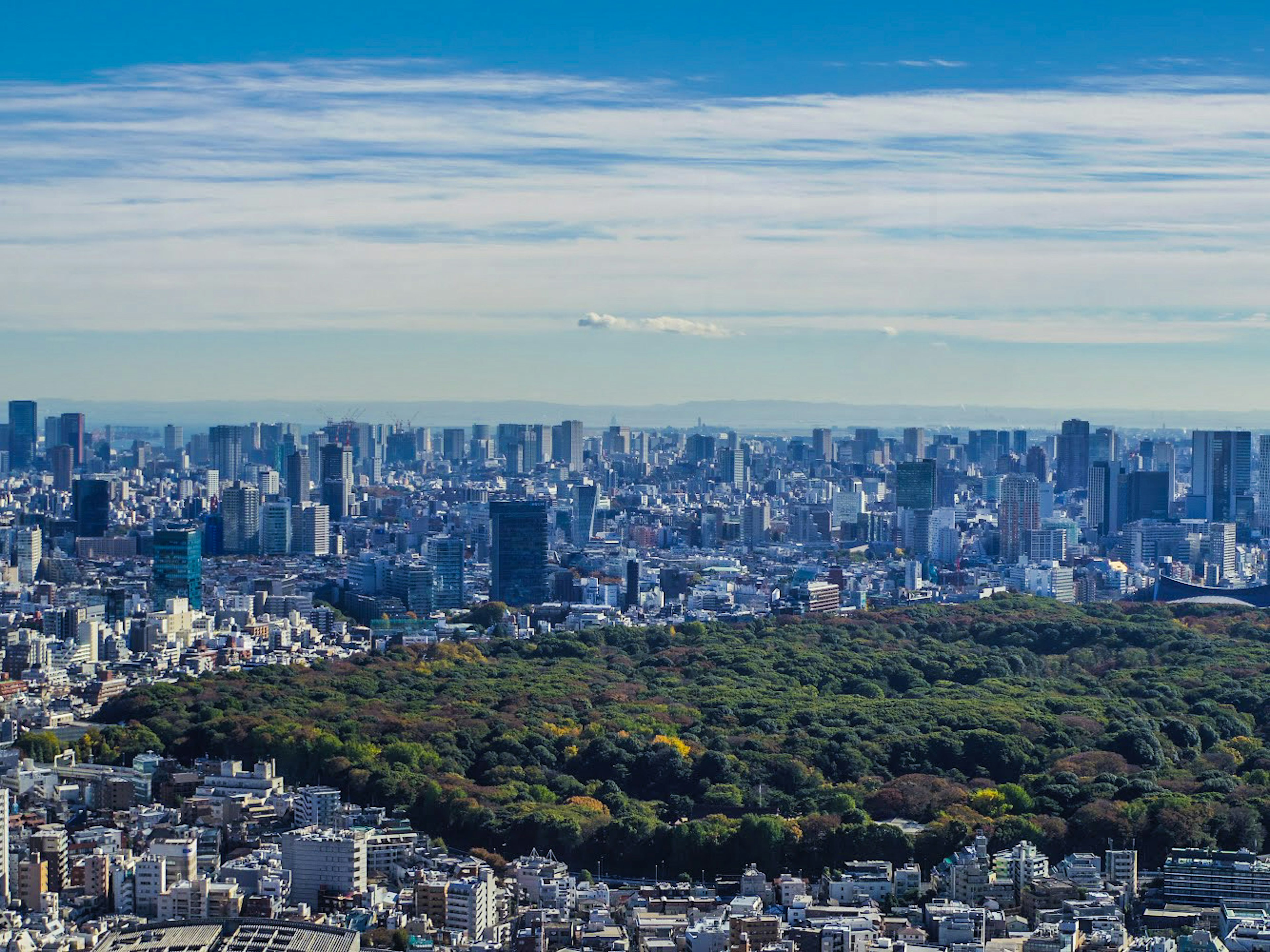 Cảnh quan toàn cảnh của thành phố Tokyo với công viên xanh tươi