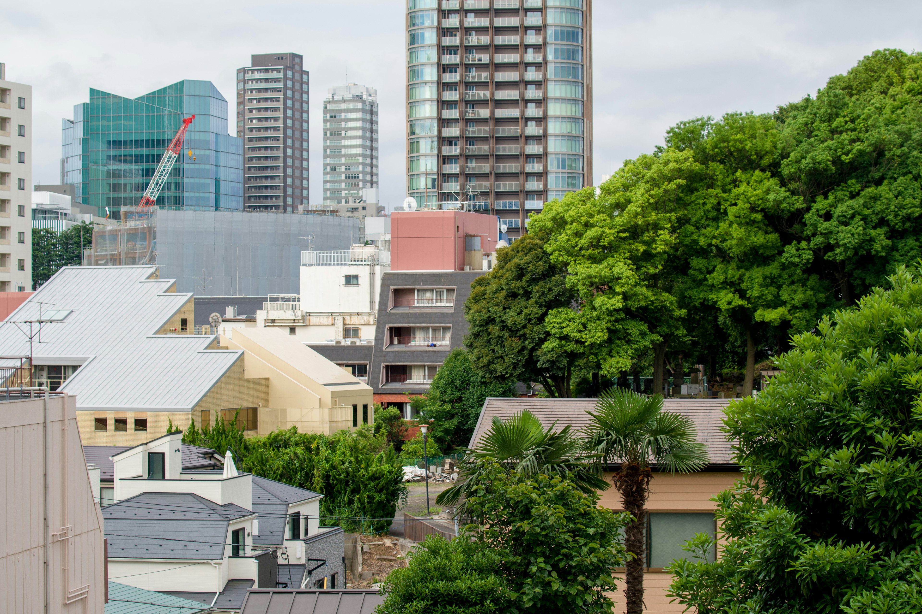 Paysage urbain montrant un contraste entre des bâtiments modernes et une végétation luxuriante