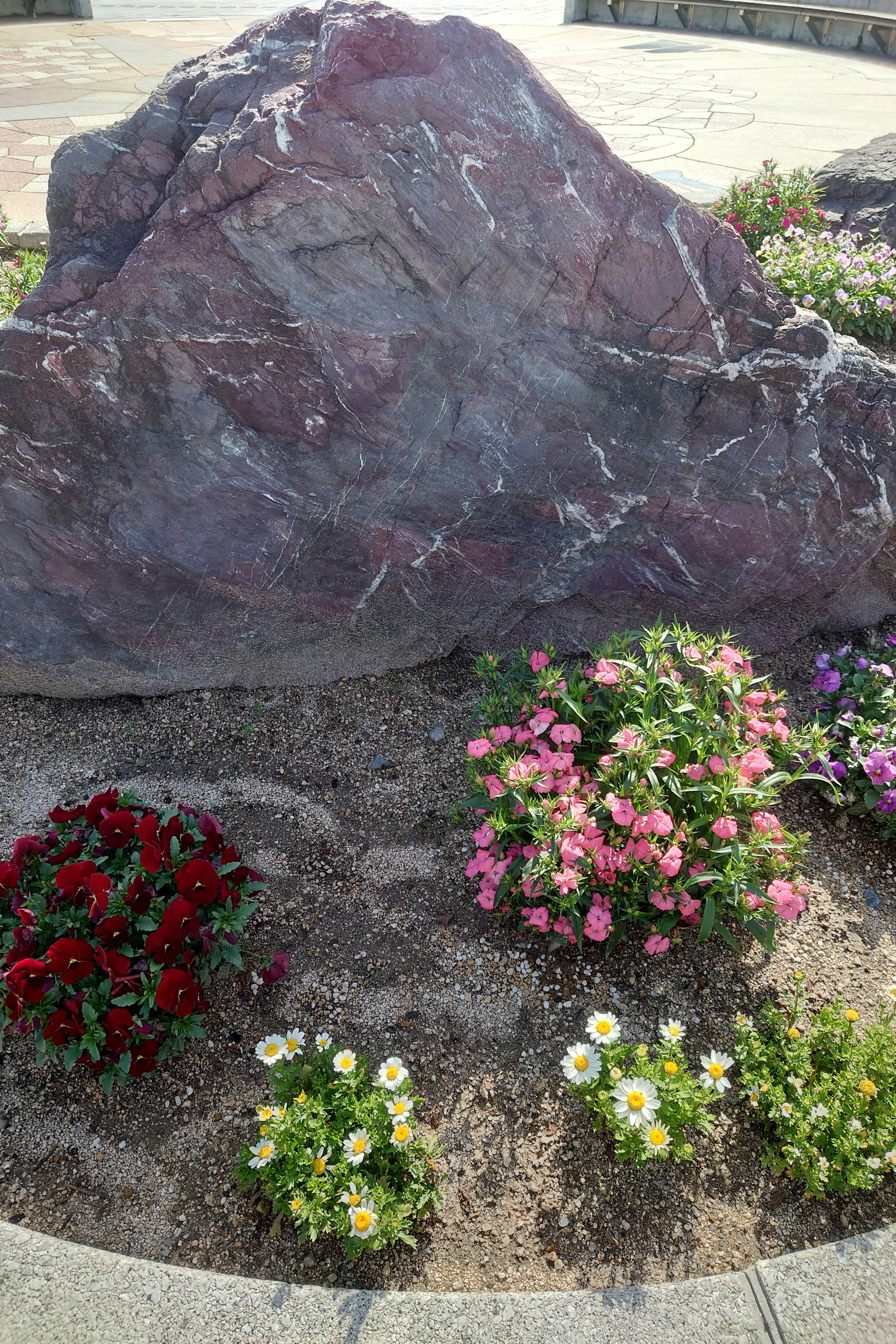 Grande roccia viola circondata da fiori colorati