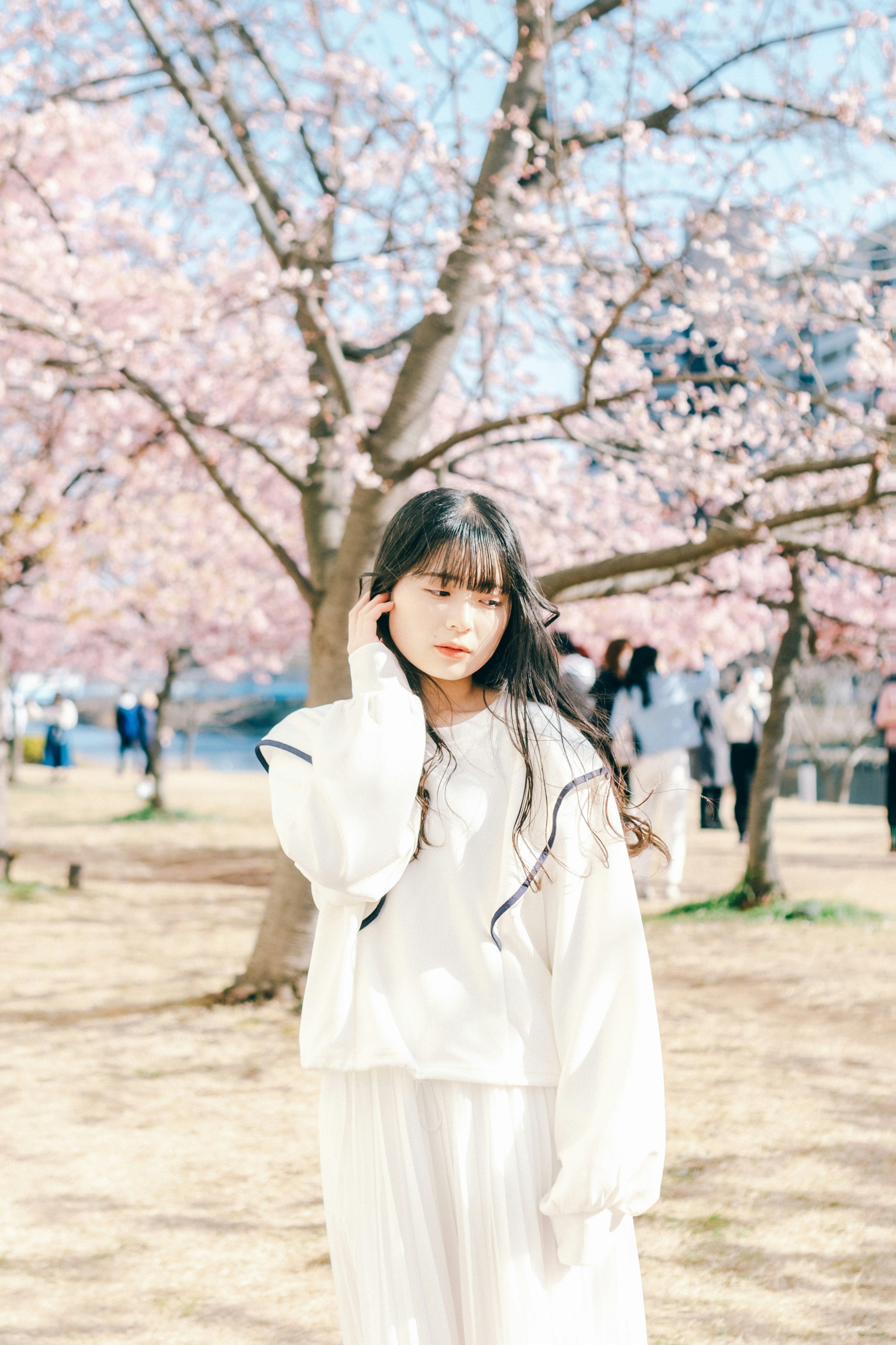 Portrait of a girl in white clothing under cherry blossom trees