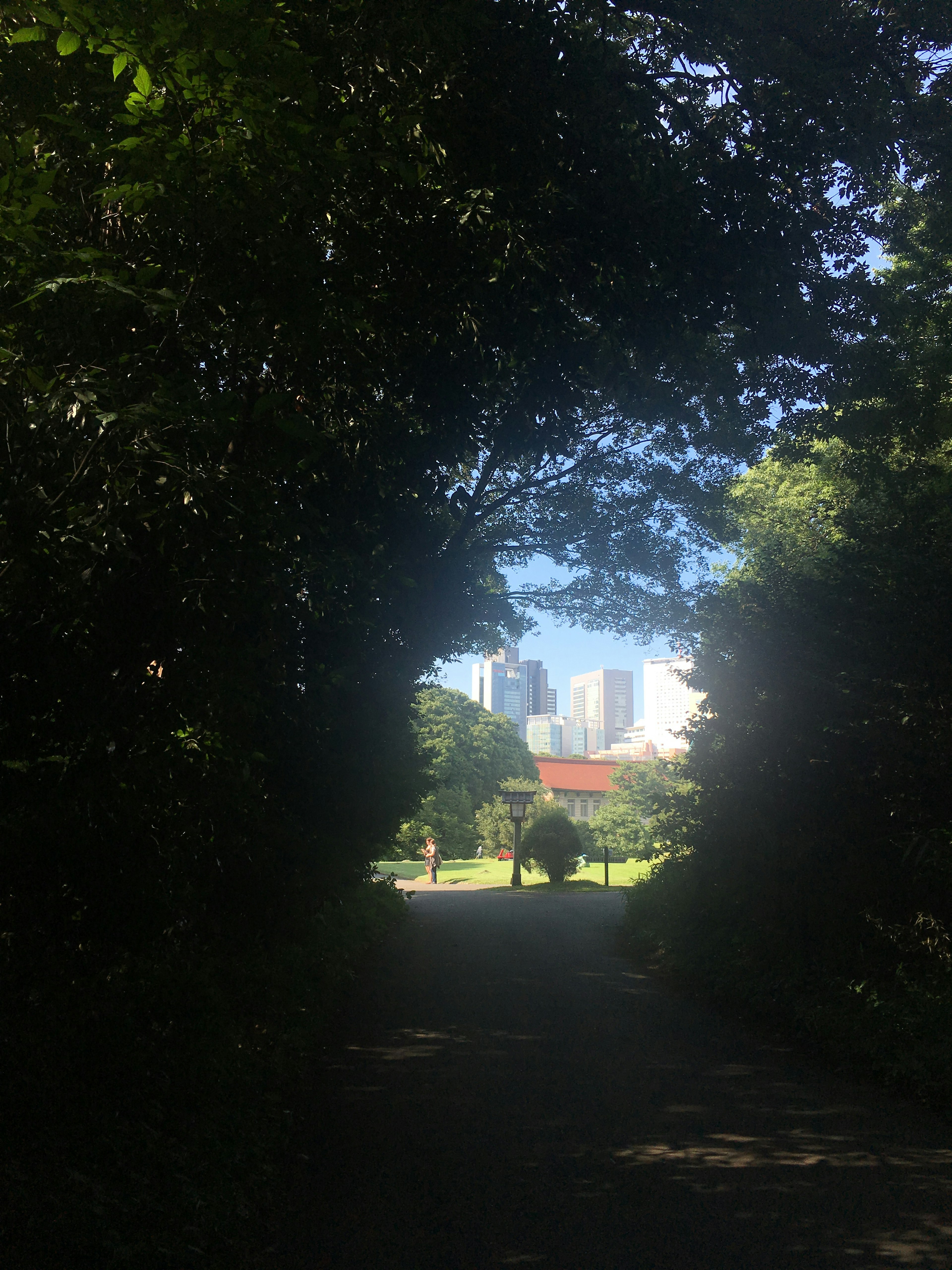 A pathway framed by lush greenery leading to visible skyscrapers in the distance