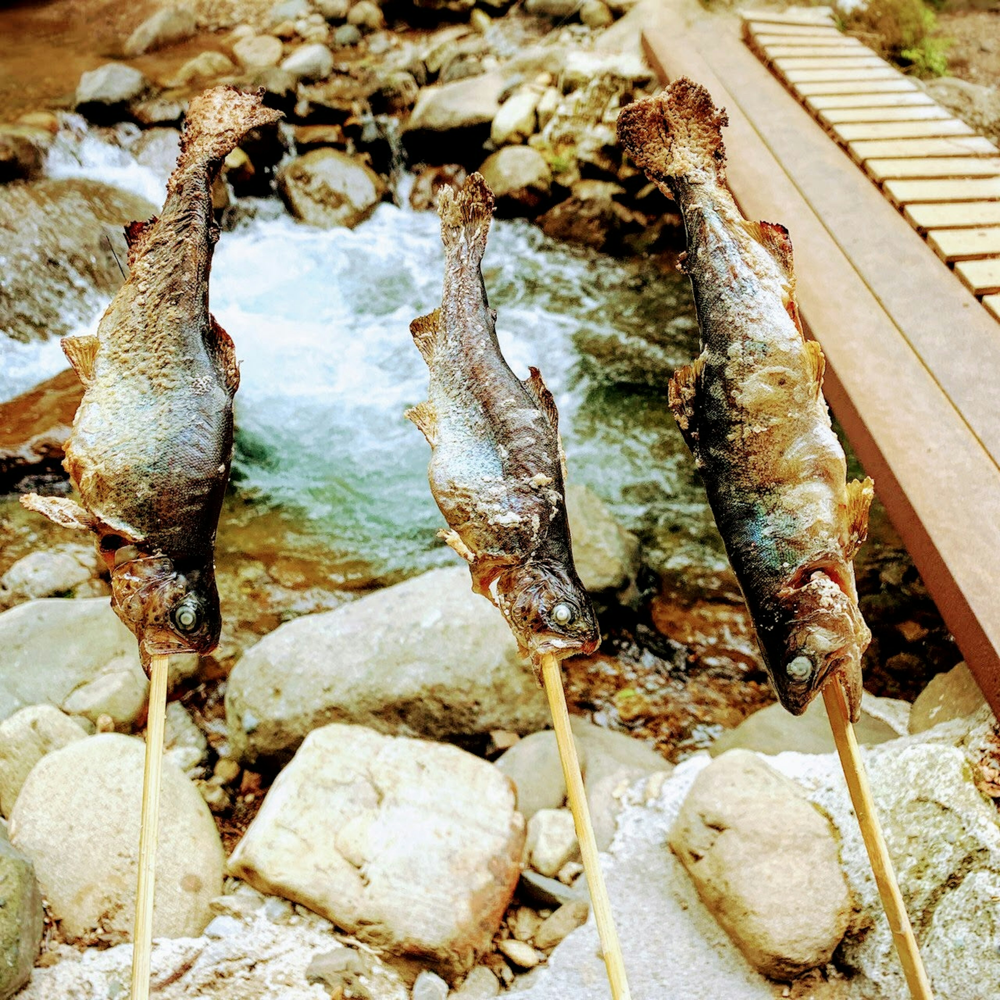 Tres peces asados en palos cerca de un río con piedras y un camino de madera