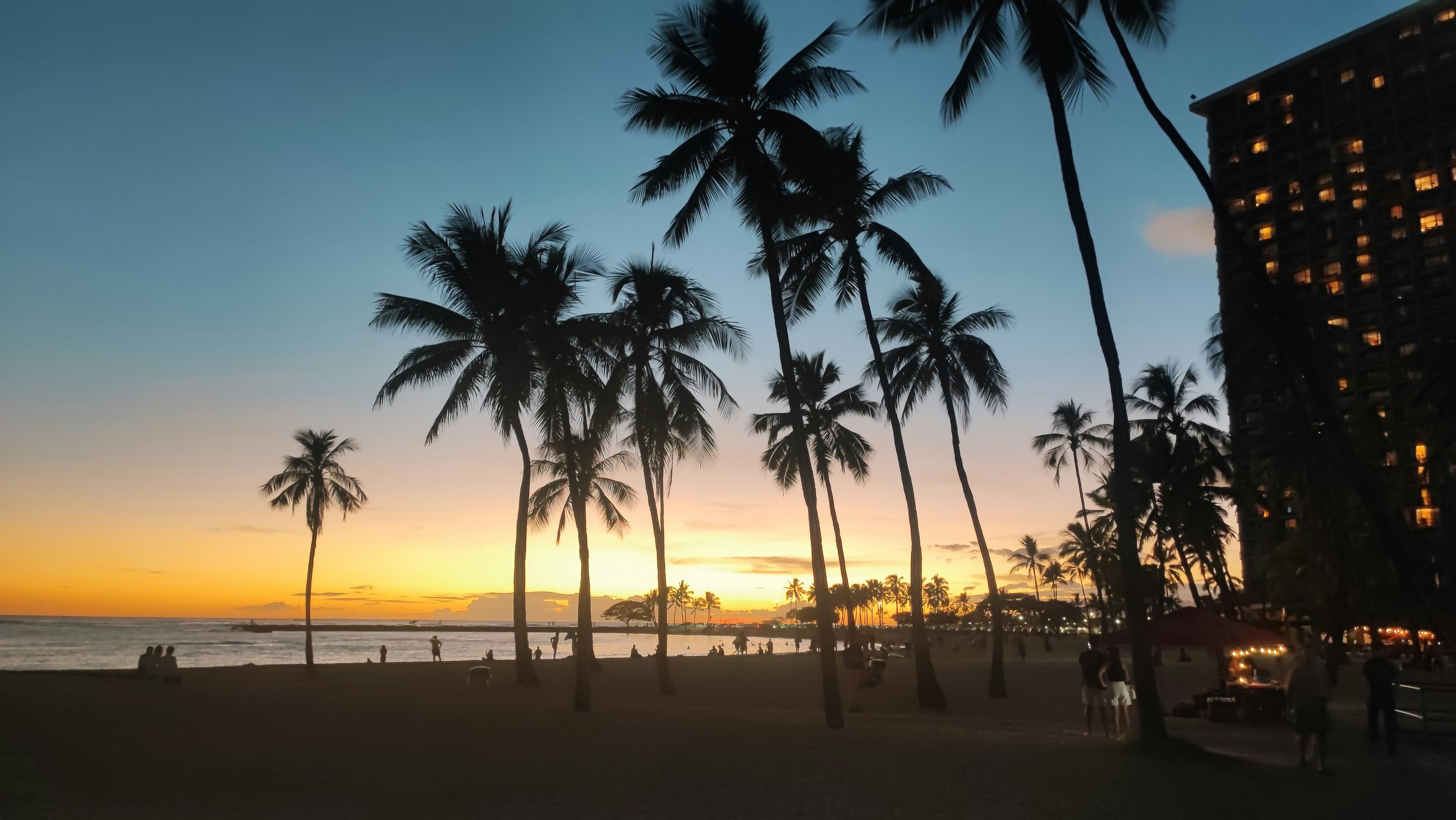 美麗的海灘景色，棕櫚樹和日落