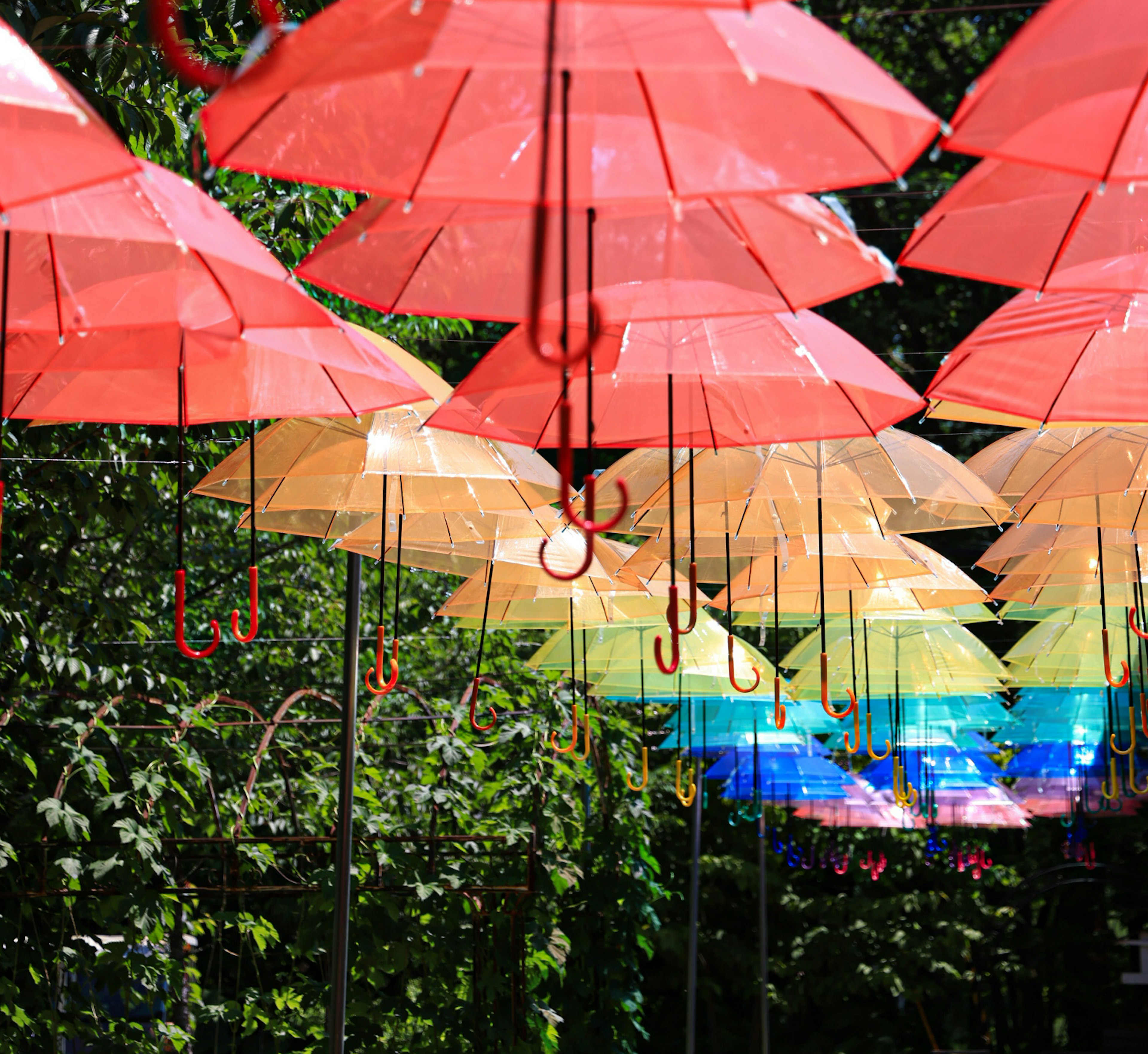 Bunte Regenschirme hängen in einer lebhaften Ausstellung mit roten und blauen Regenschirmen