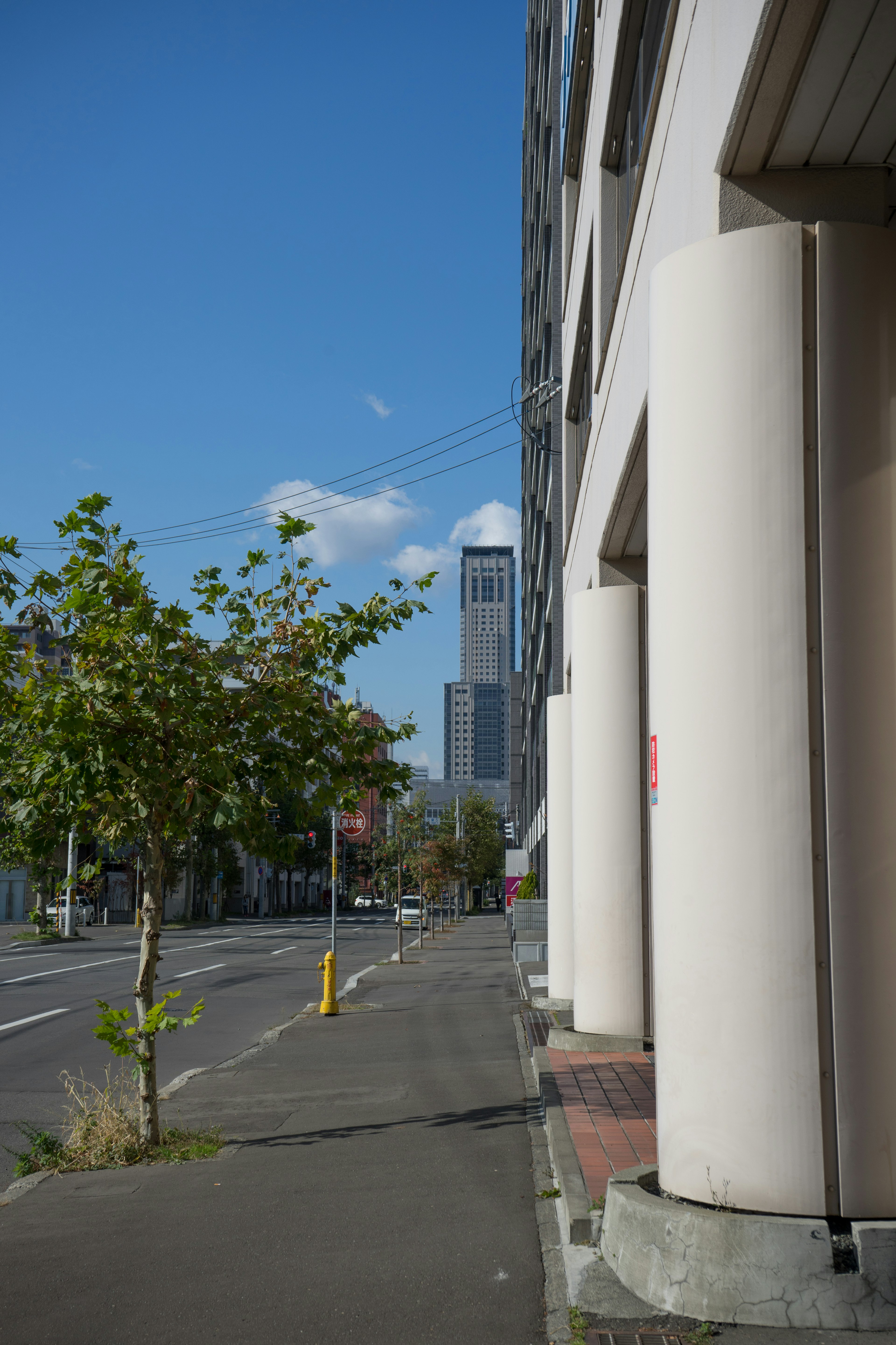 Paisaje urbano con columnas de edificio y árboles en la calle con un rascacielos al fondo