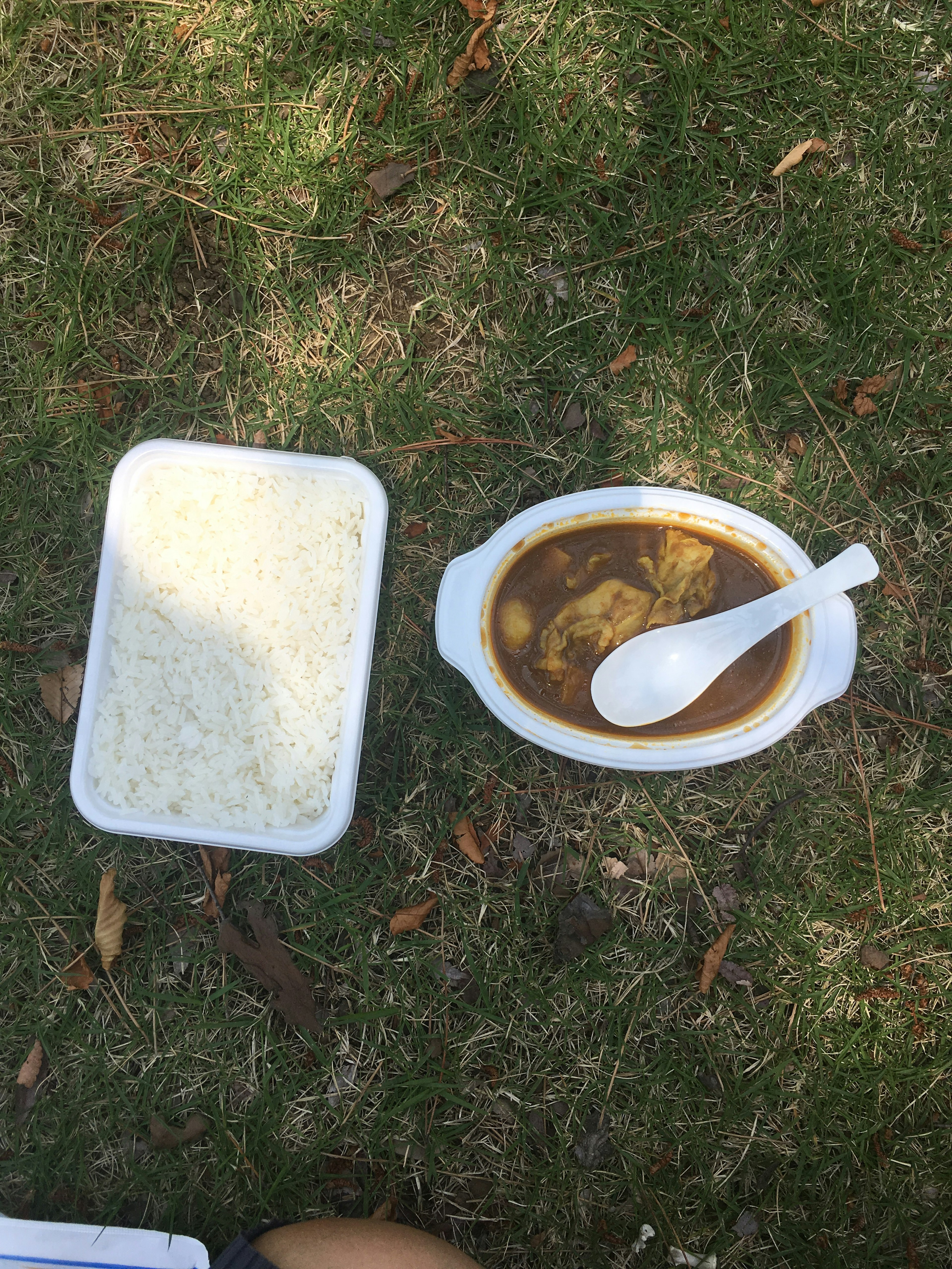 Nasi putih dan mangkuk kari diletakkan di atas rumput