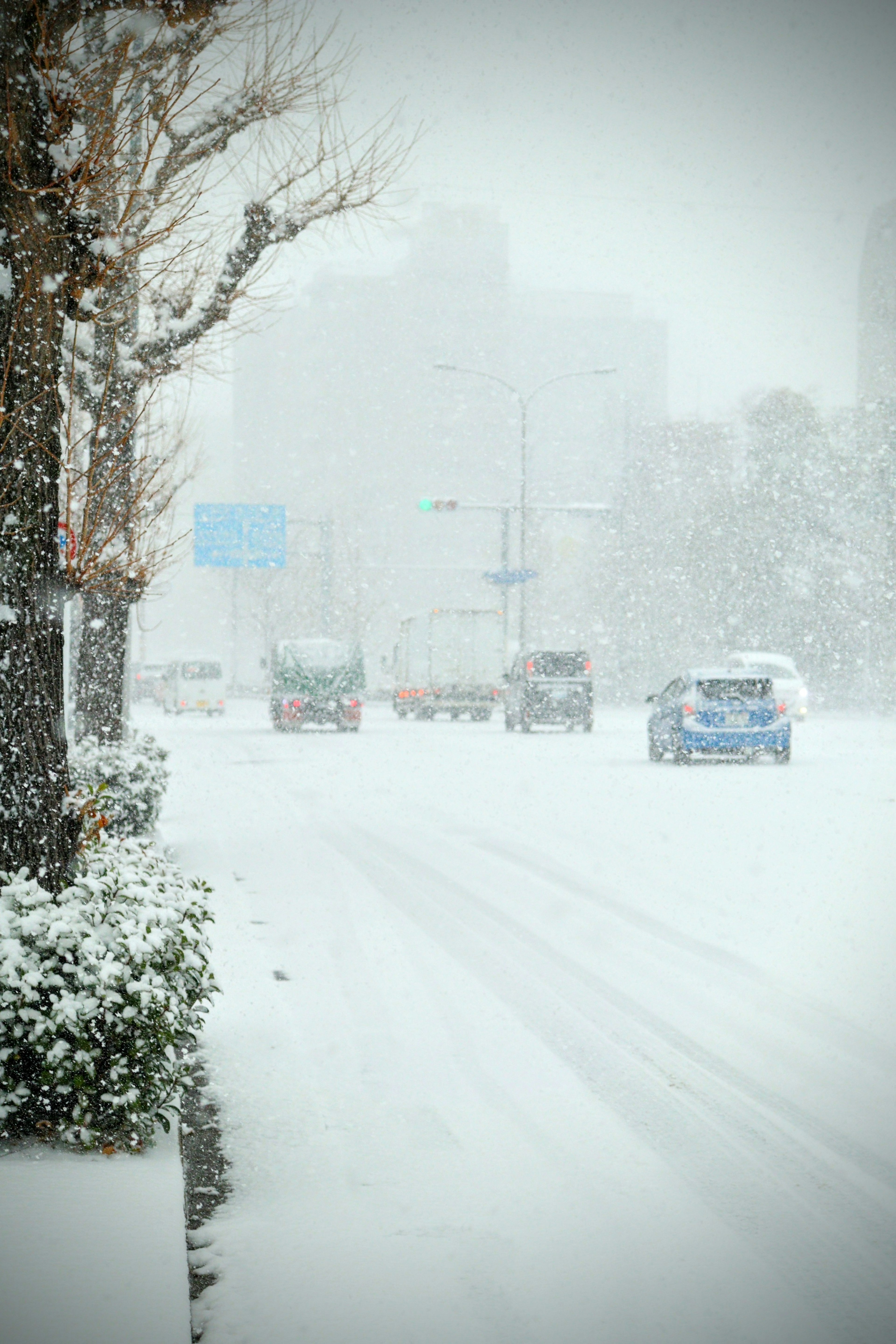 Snow-covered street scene with cars driving through heavy snowfall