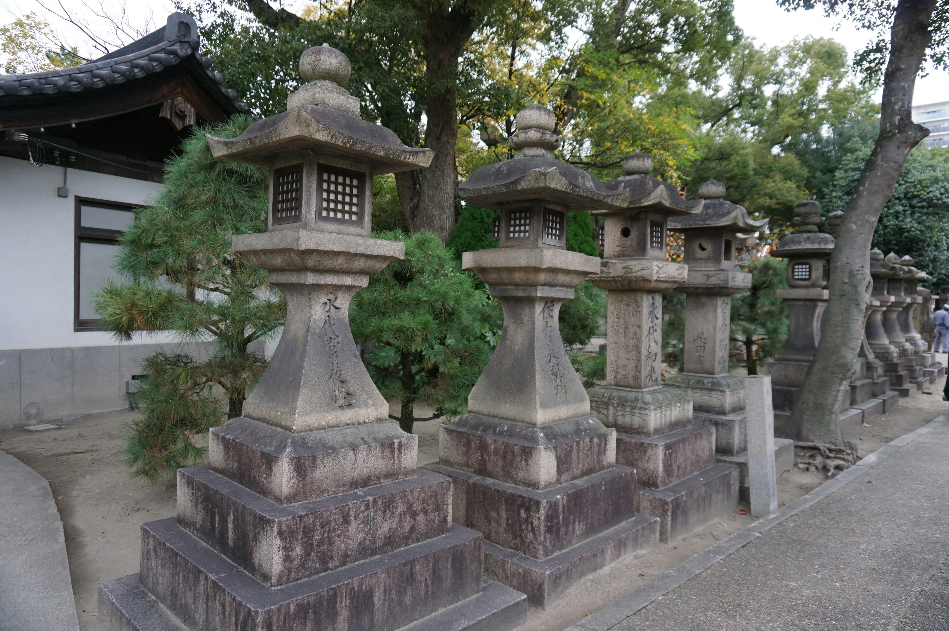 Traditional stone lanterns lined up in a garden setting