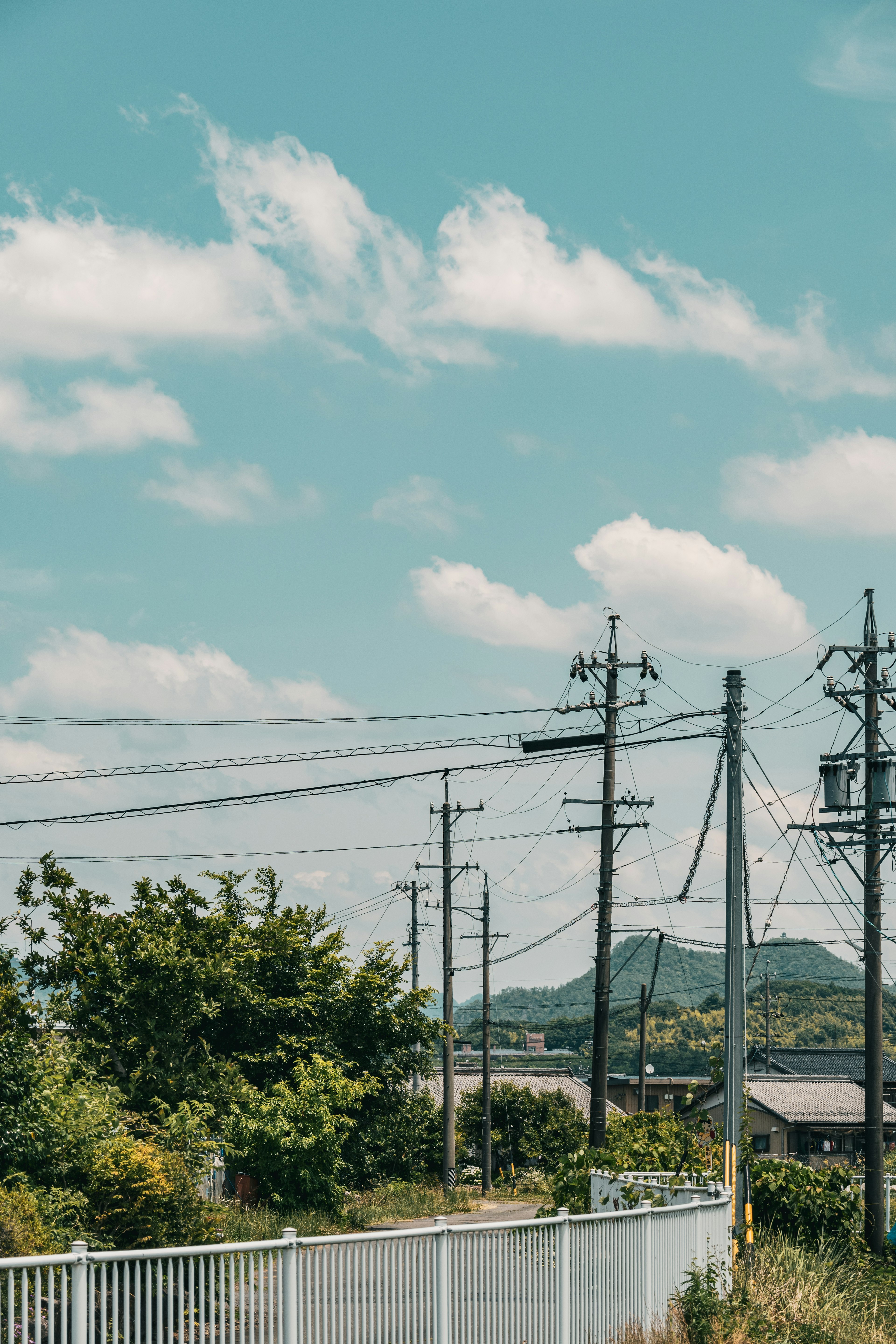 青空と白い雲が広がる風景に電柱と緑の木々が見える