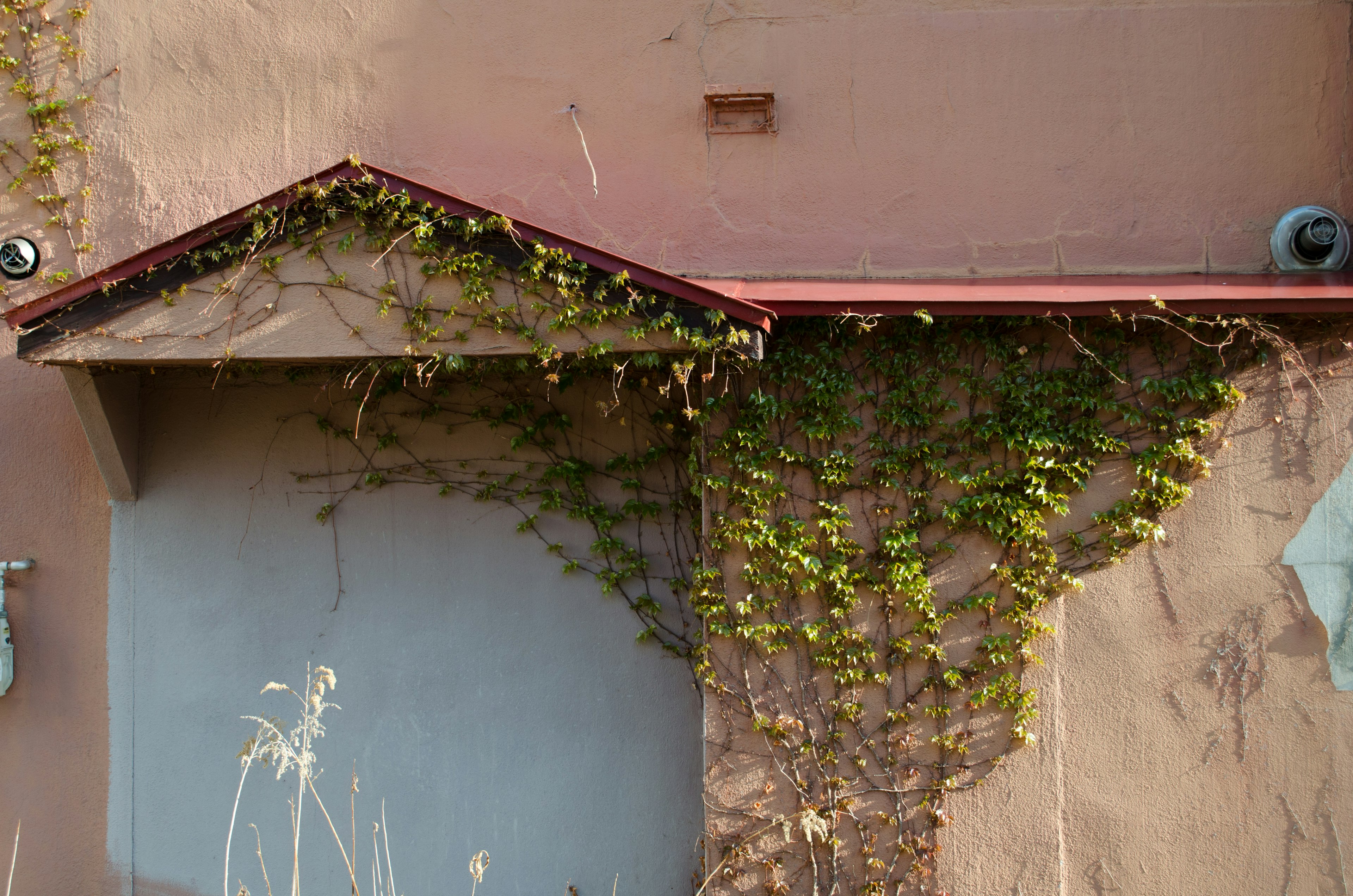 Part of a wall with a red roof and green ivy