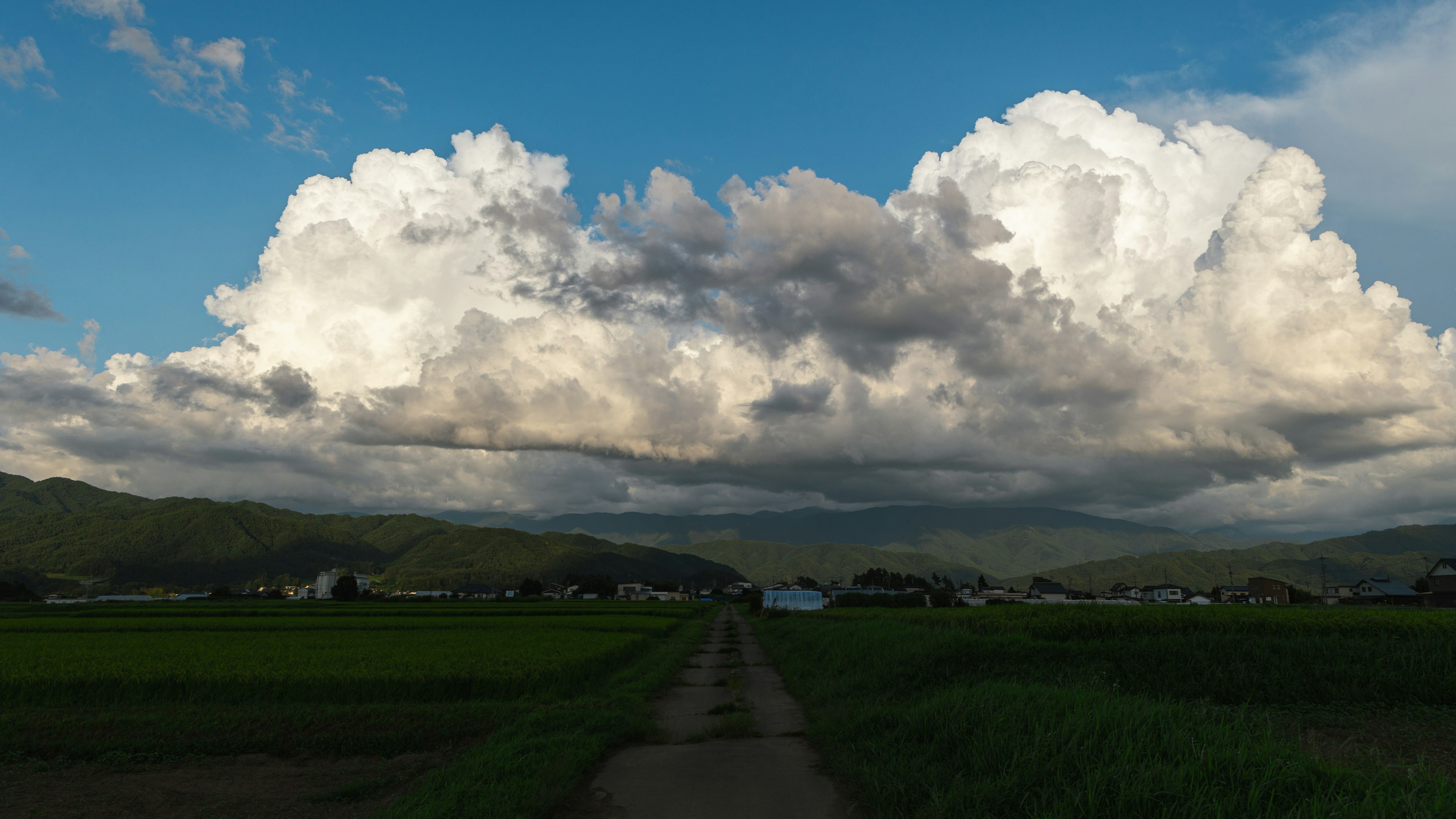 青空と白い雲が広がる風景に沿った田舎道