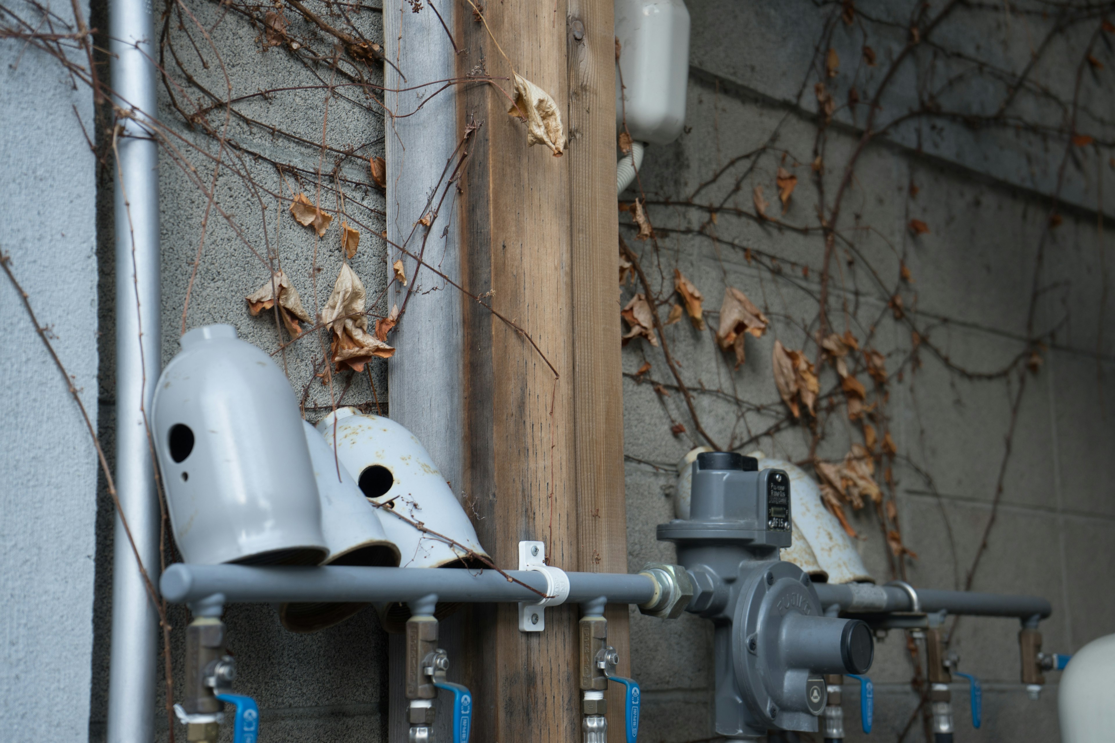 Gray pipes and wooden post with dried leaves intertwined in the background