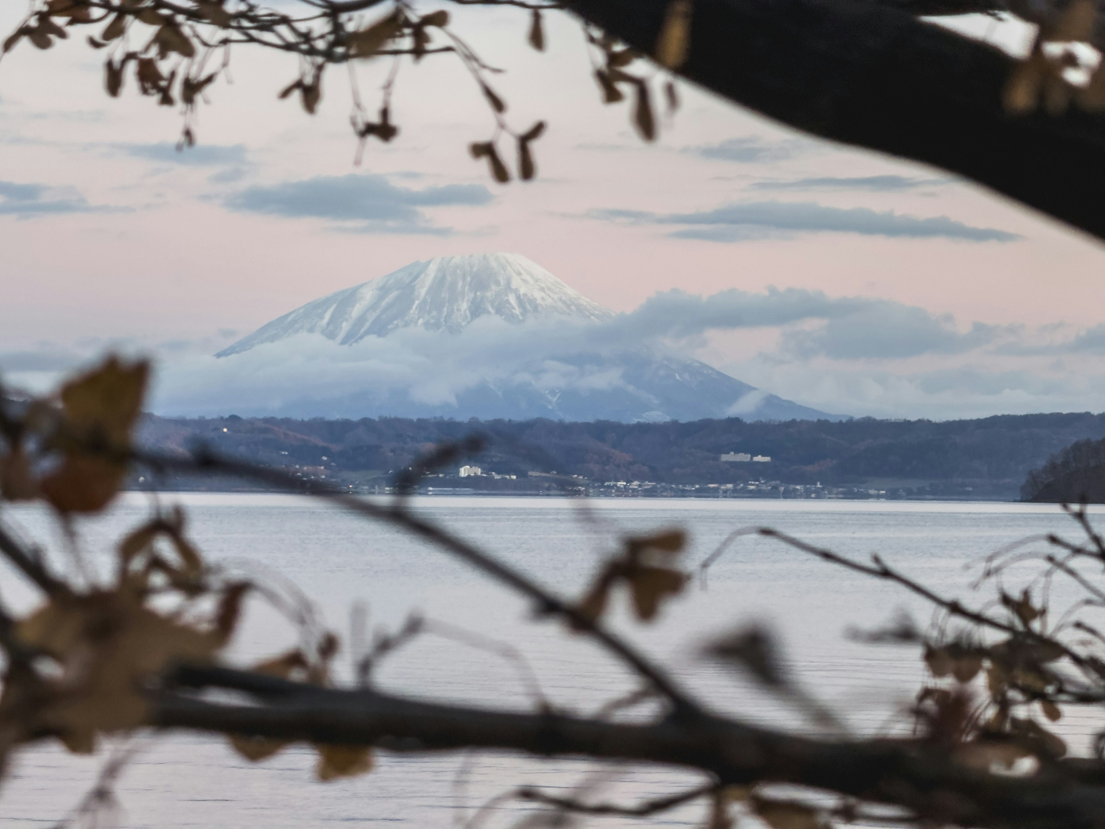 湖泊景觀，背景有富士山和枯葉的樹枝