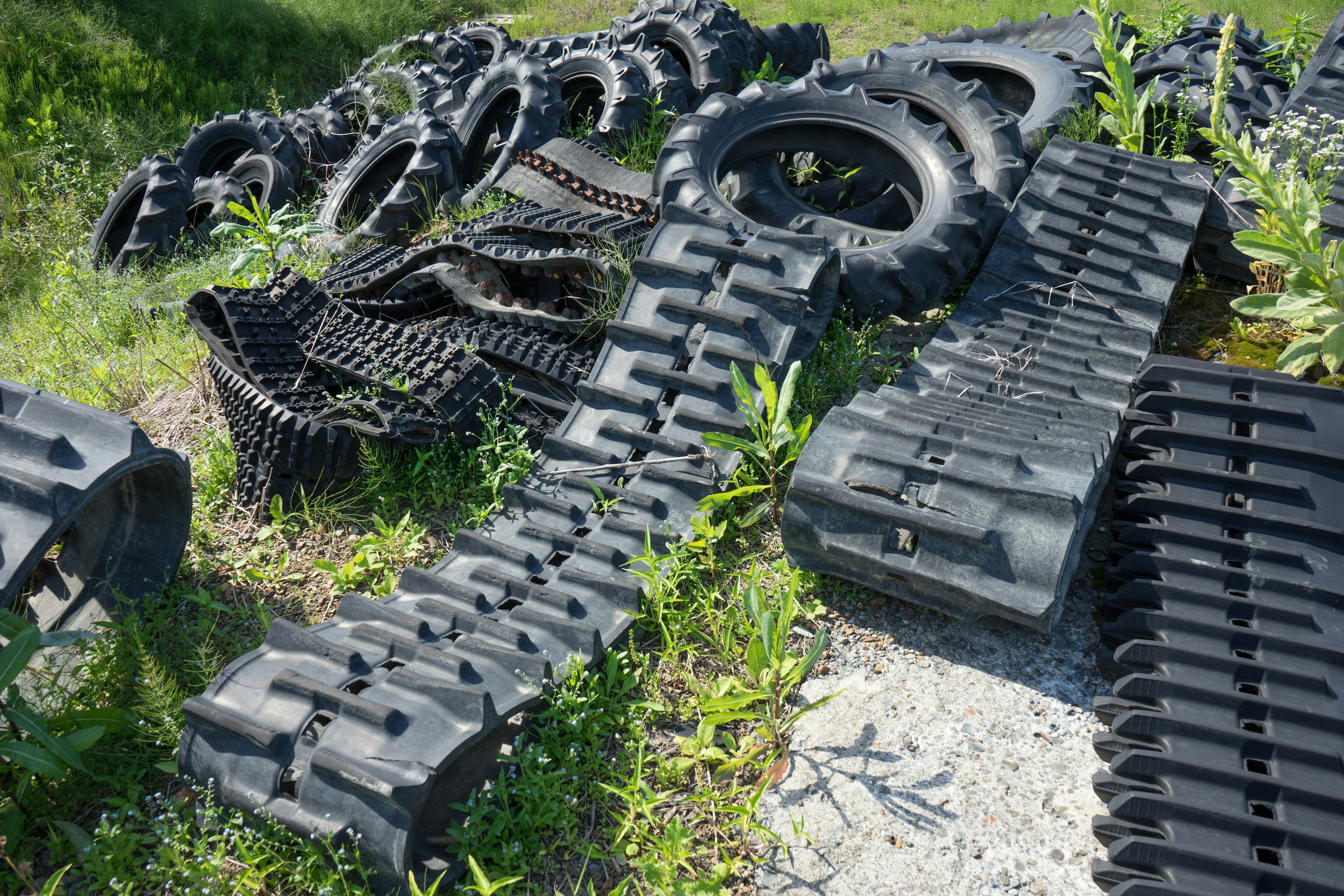 Pièces de chenilles noires éparpillées dans l'herbe