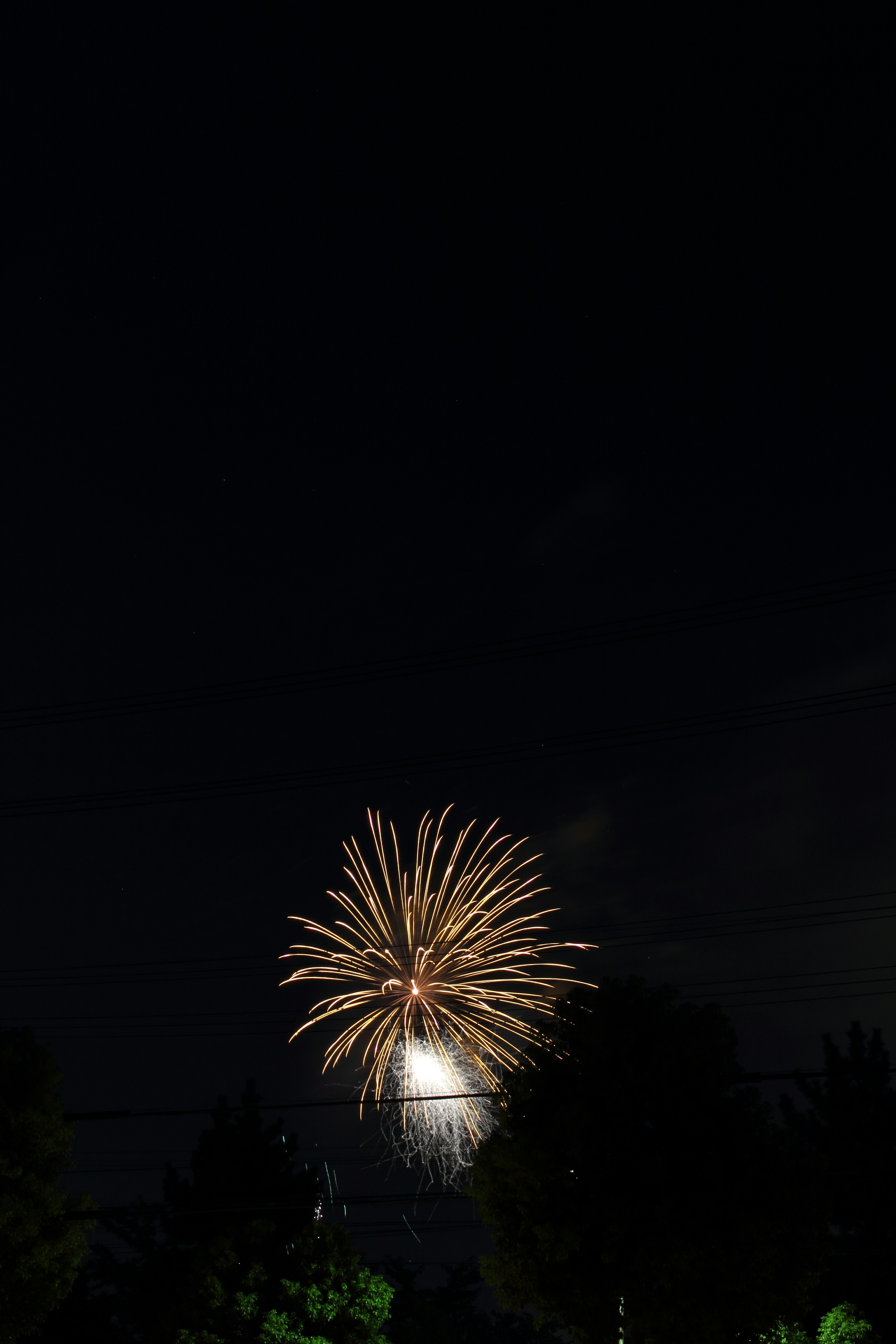 Hermoso momento de fuegos artificiales floreciendo en el cielo nocturno