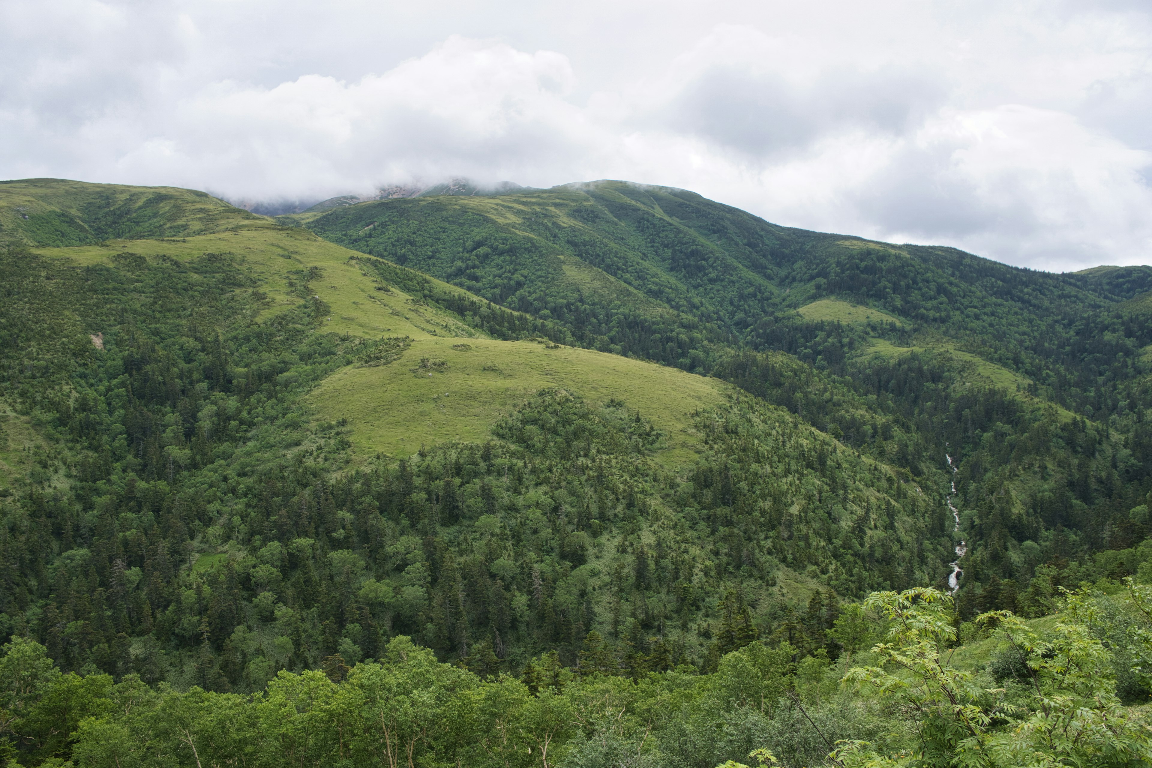 Montagnes verdoyantes sous un ciel nuageux