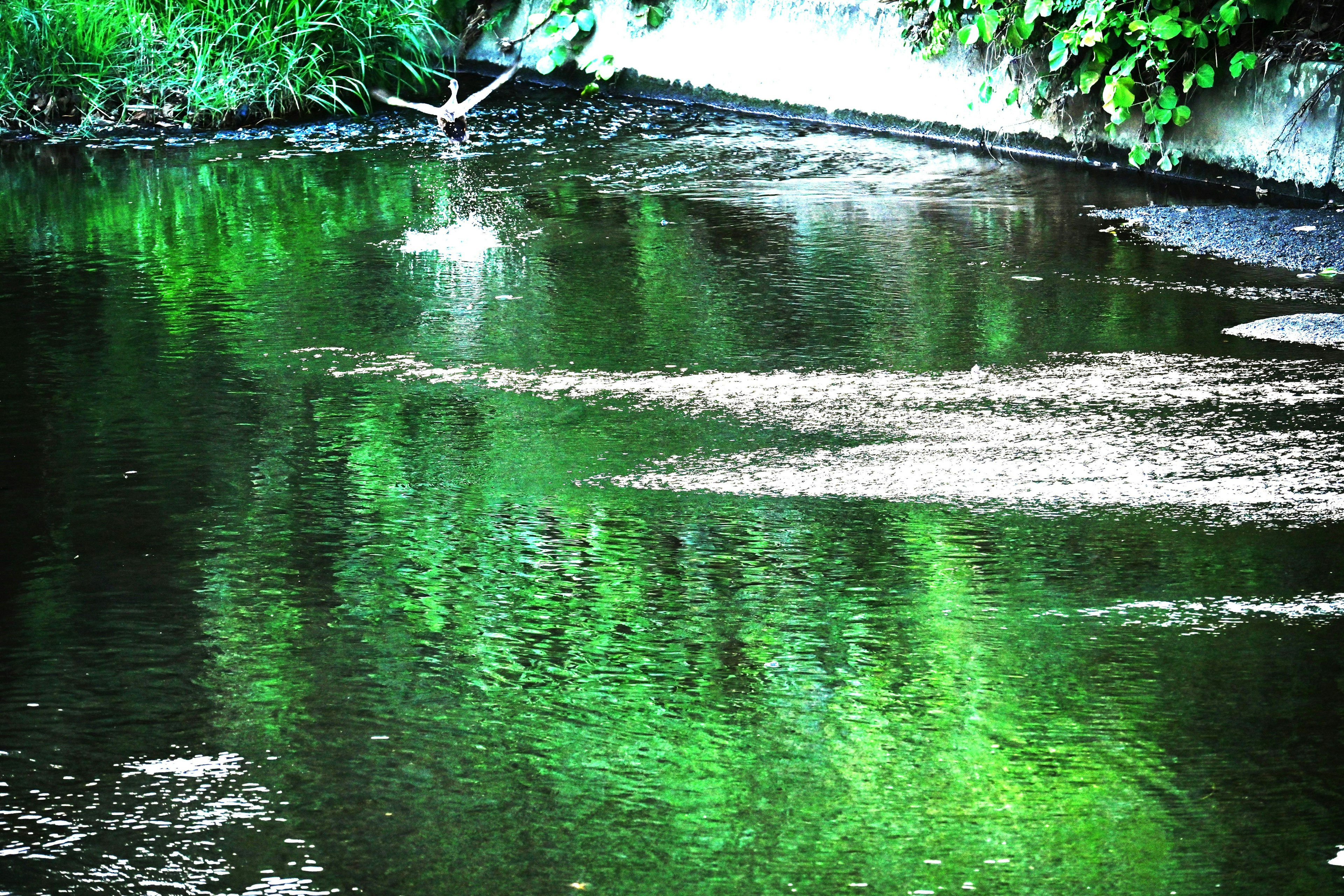 พื้นผิวแม่น้ำที่เงียบสงบพร้อมการสะท้อนสีเขียวที่สวยงาม