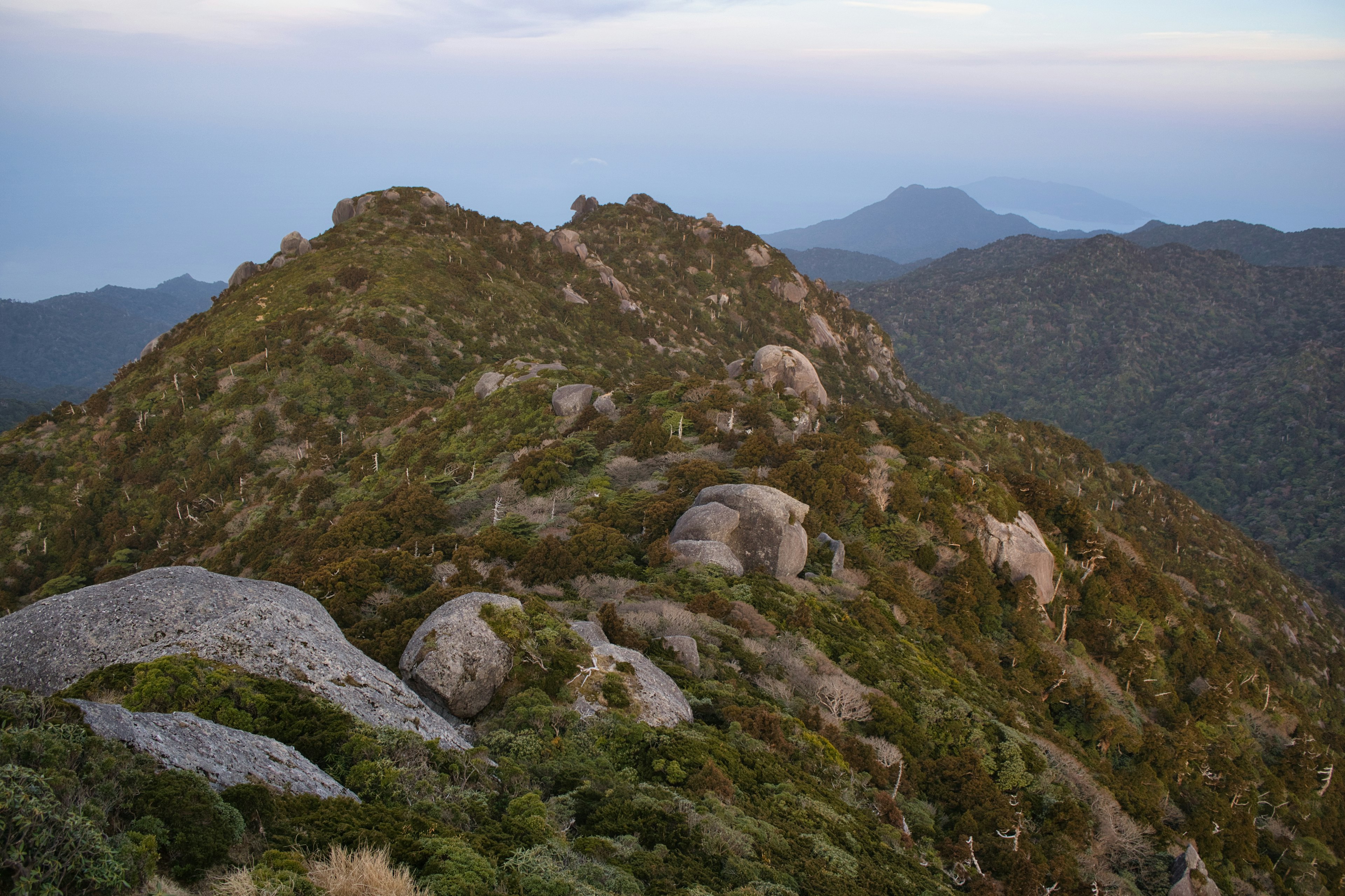 Vue panoramique des montagnes verdoyantes et des formations rocheuses