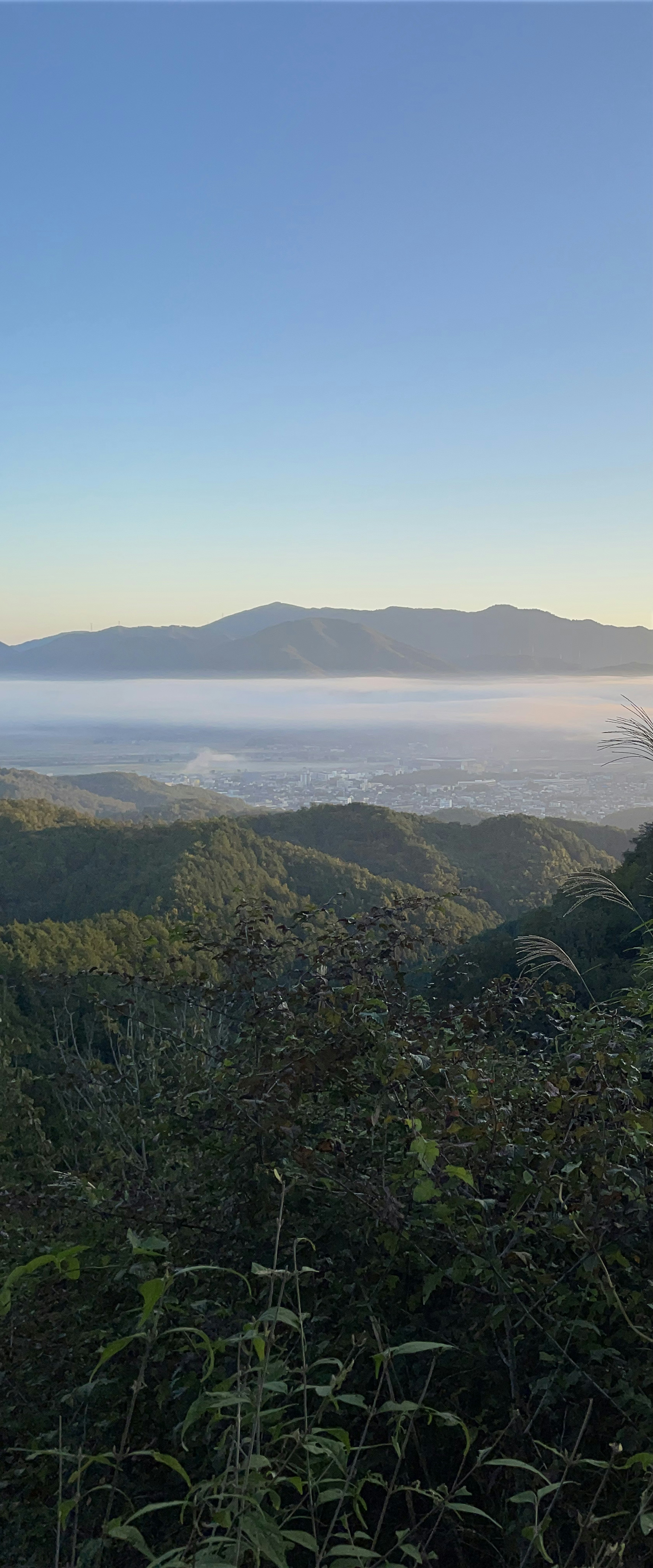 山と霧に包まれた谷の美しい風景