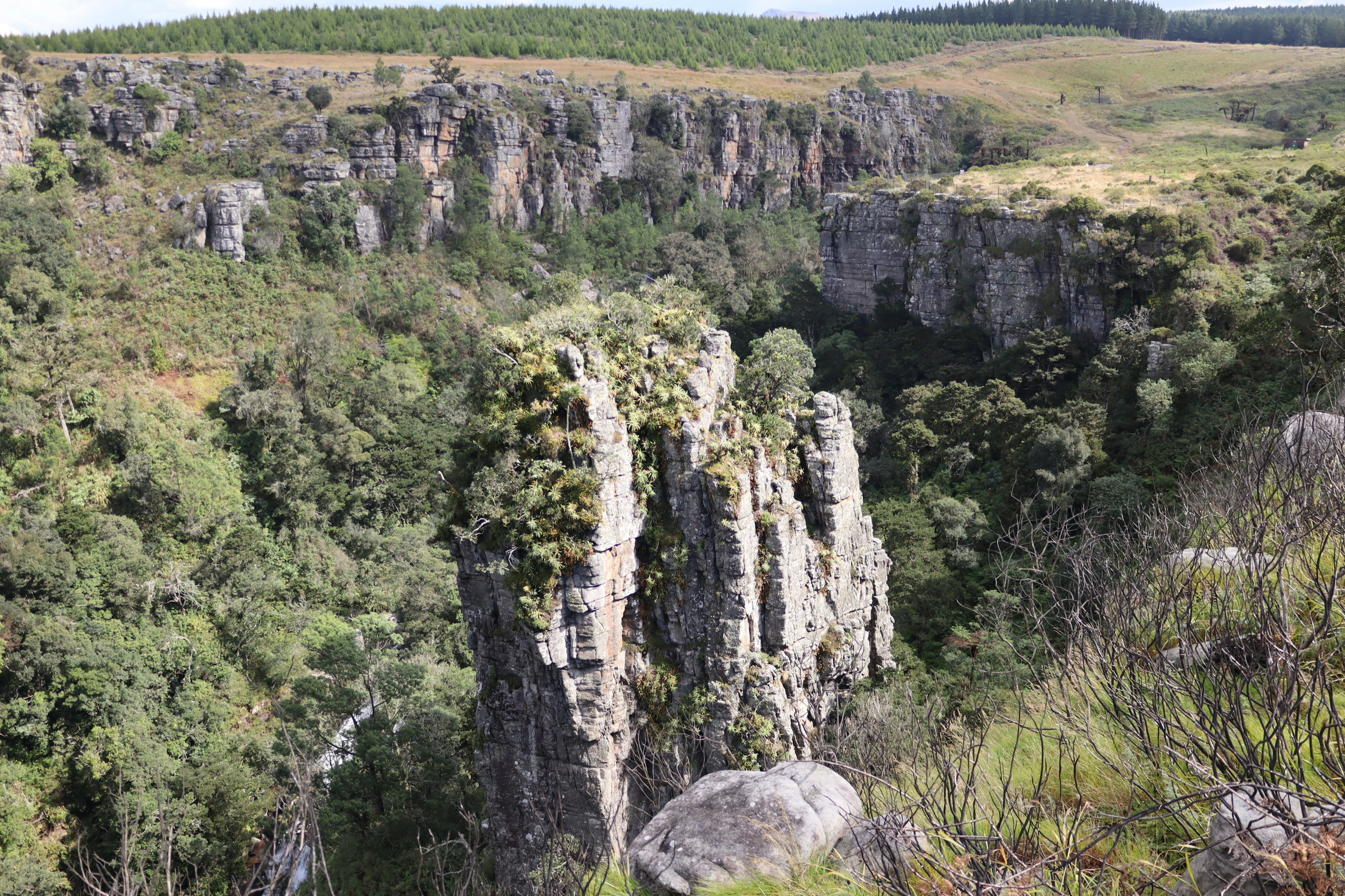 Rock formations rising in a lush valley surrounded by greenery