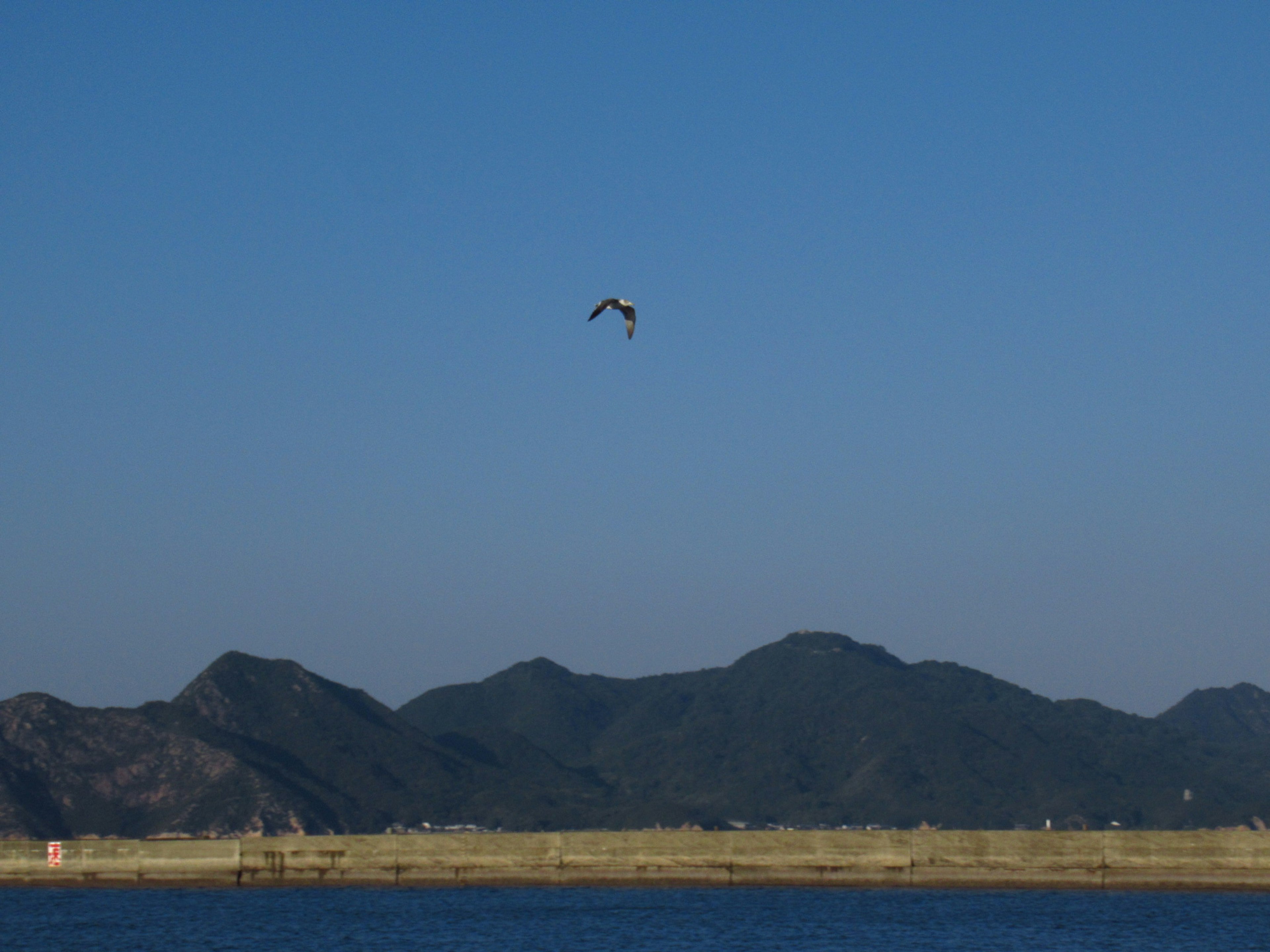 青空の下で飛ぶ鳥と山々の風景