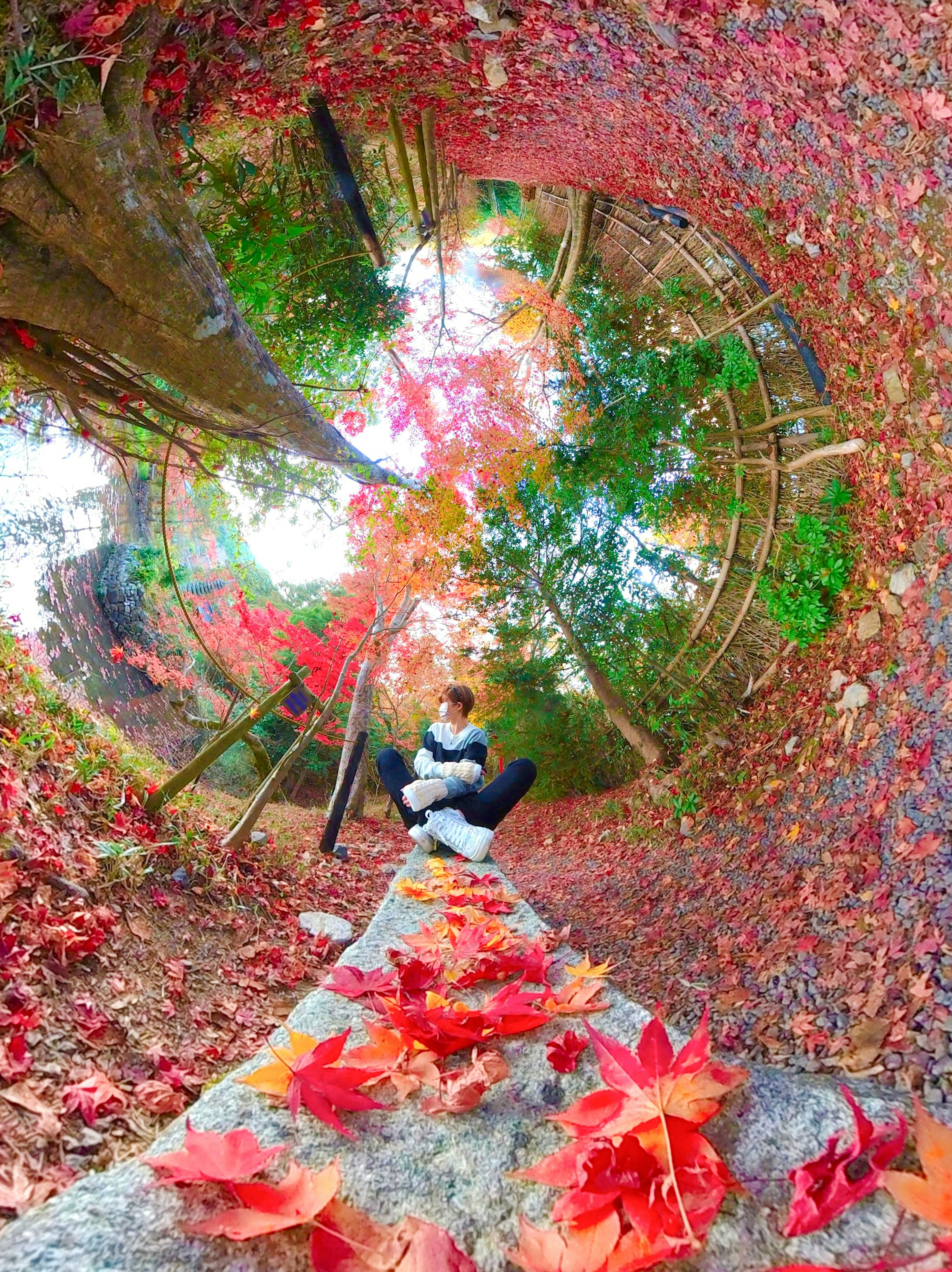 360-Grad-Panorama einer Person, die auf einem Weg sitzt, umgeben von herbstlichem Laub