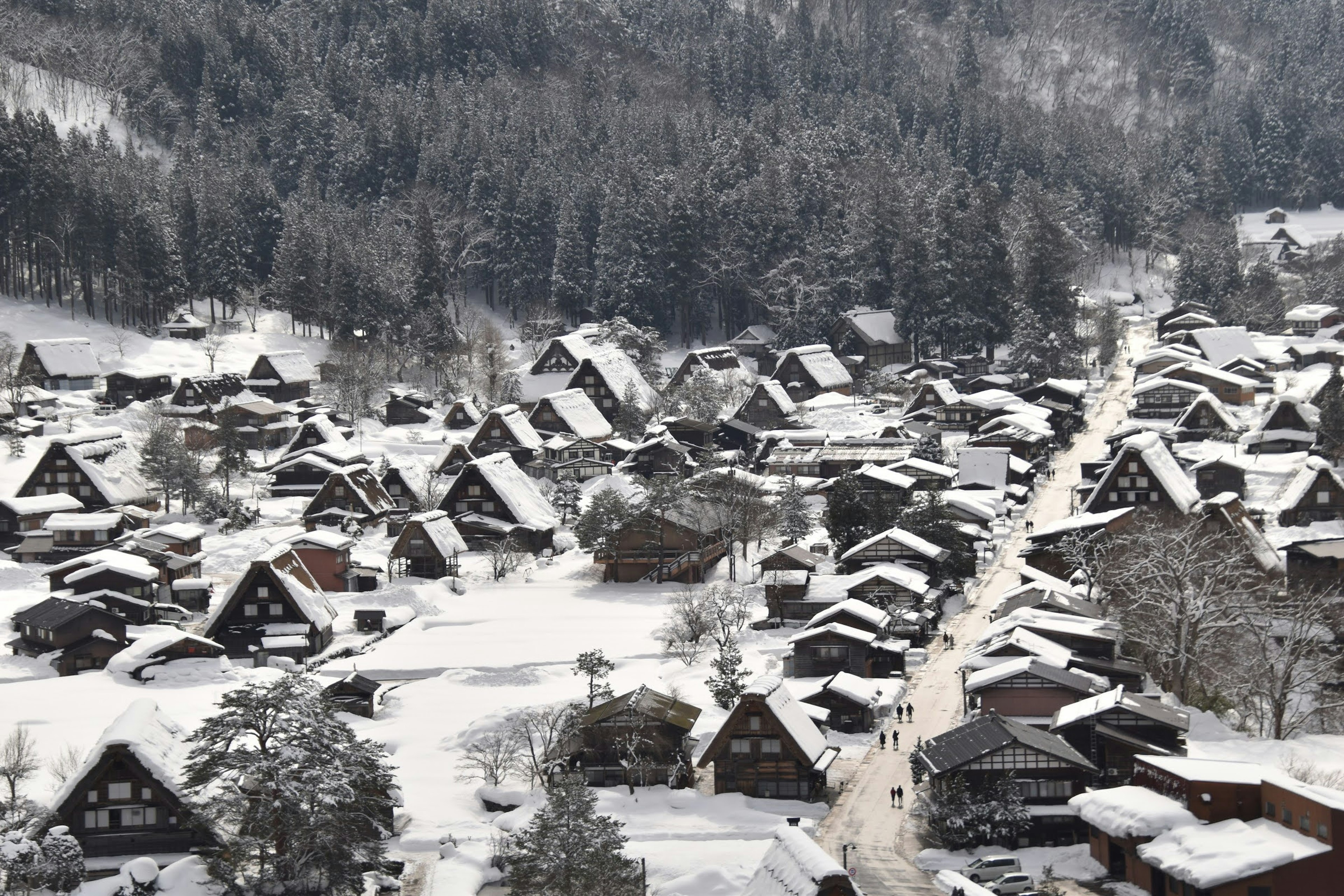 雪に覆われた伝統的な家々が並ぶ風景