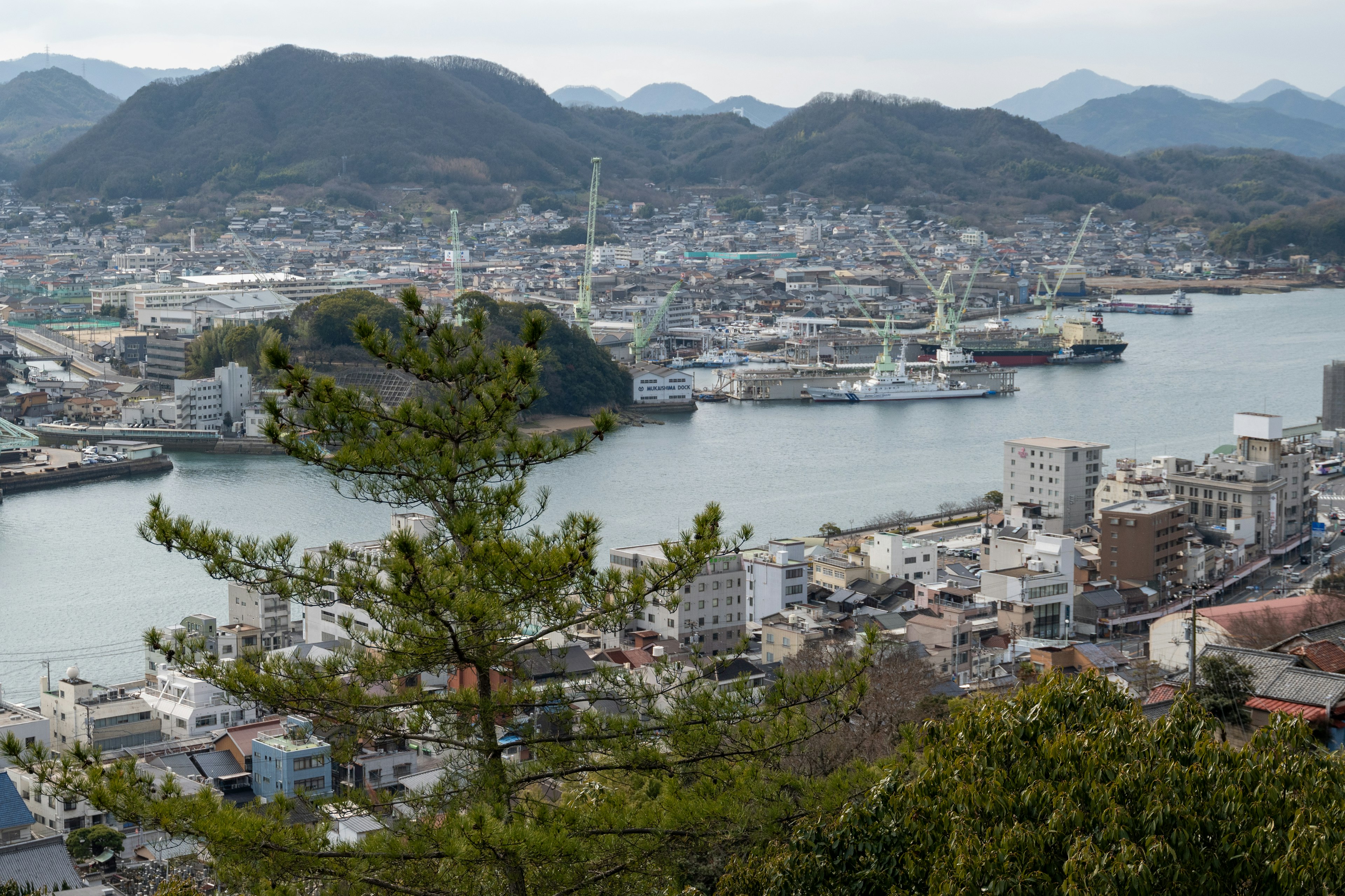 Cityscape featuring mountains and harbor