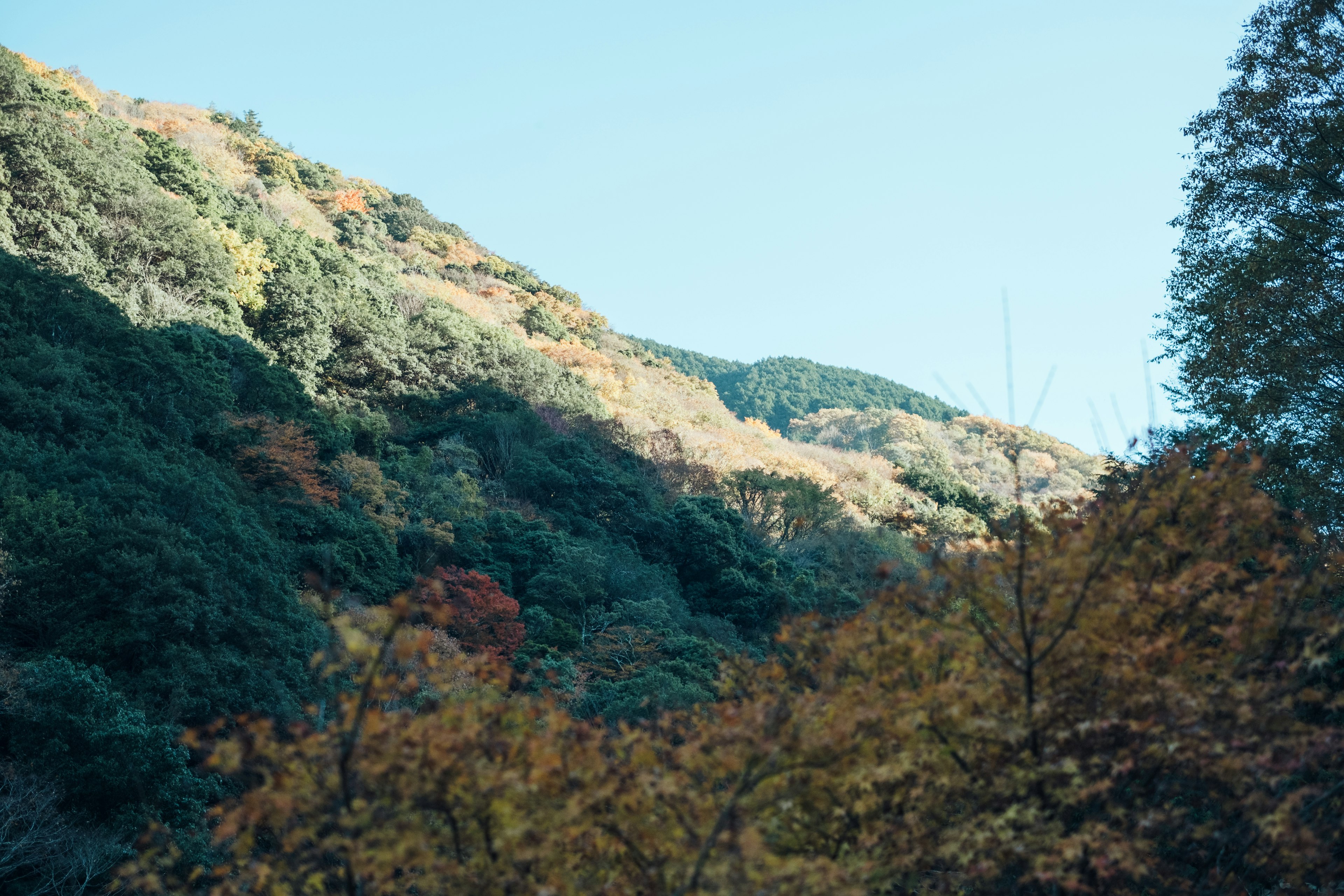 秋の色合いに包まれた山の風景