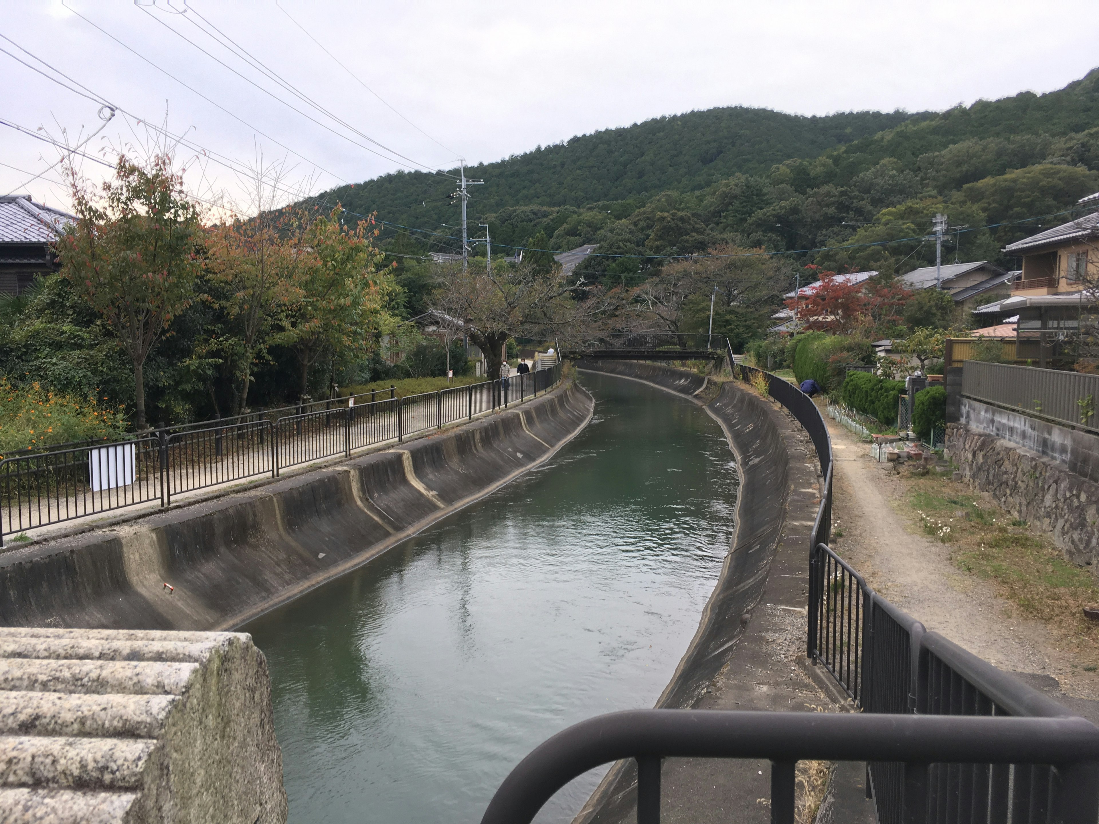 静かな運河と周囲の自然風景