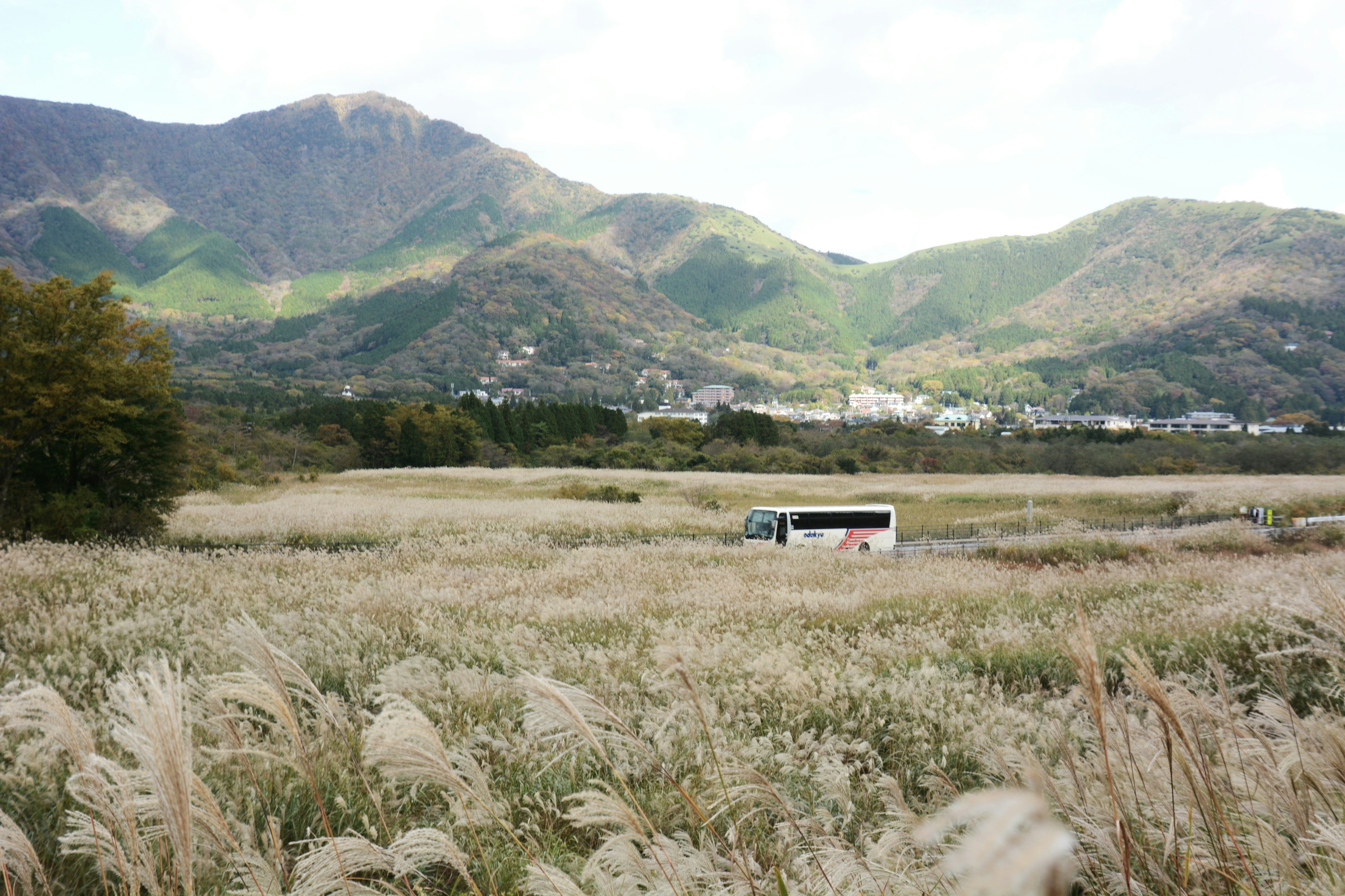 A small bus in a vast grassland with mountains in the background