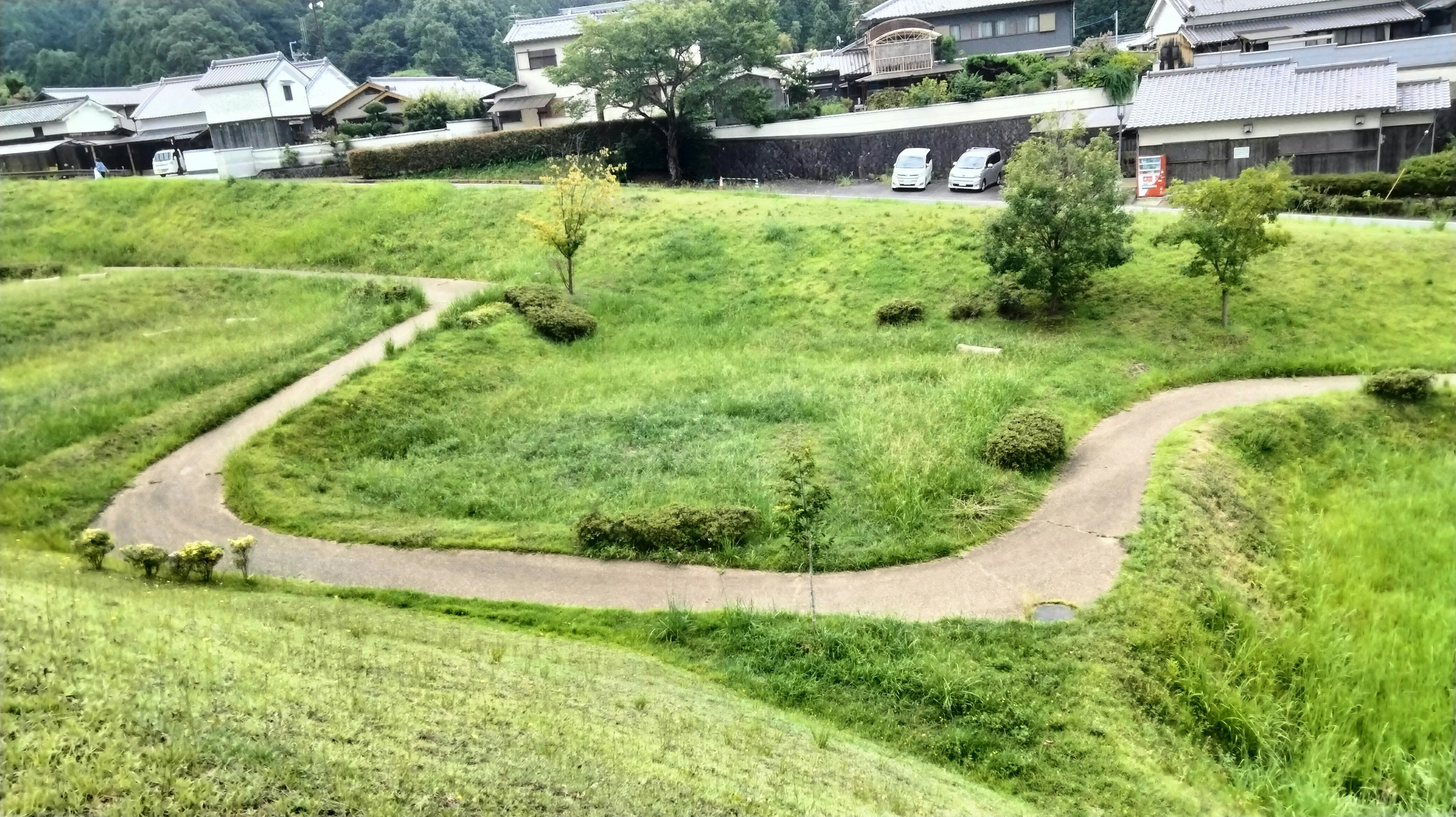 Paisaje verde con un camino sinuoso y casas circundantes