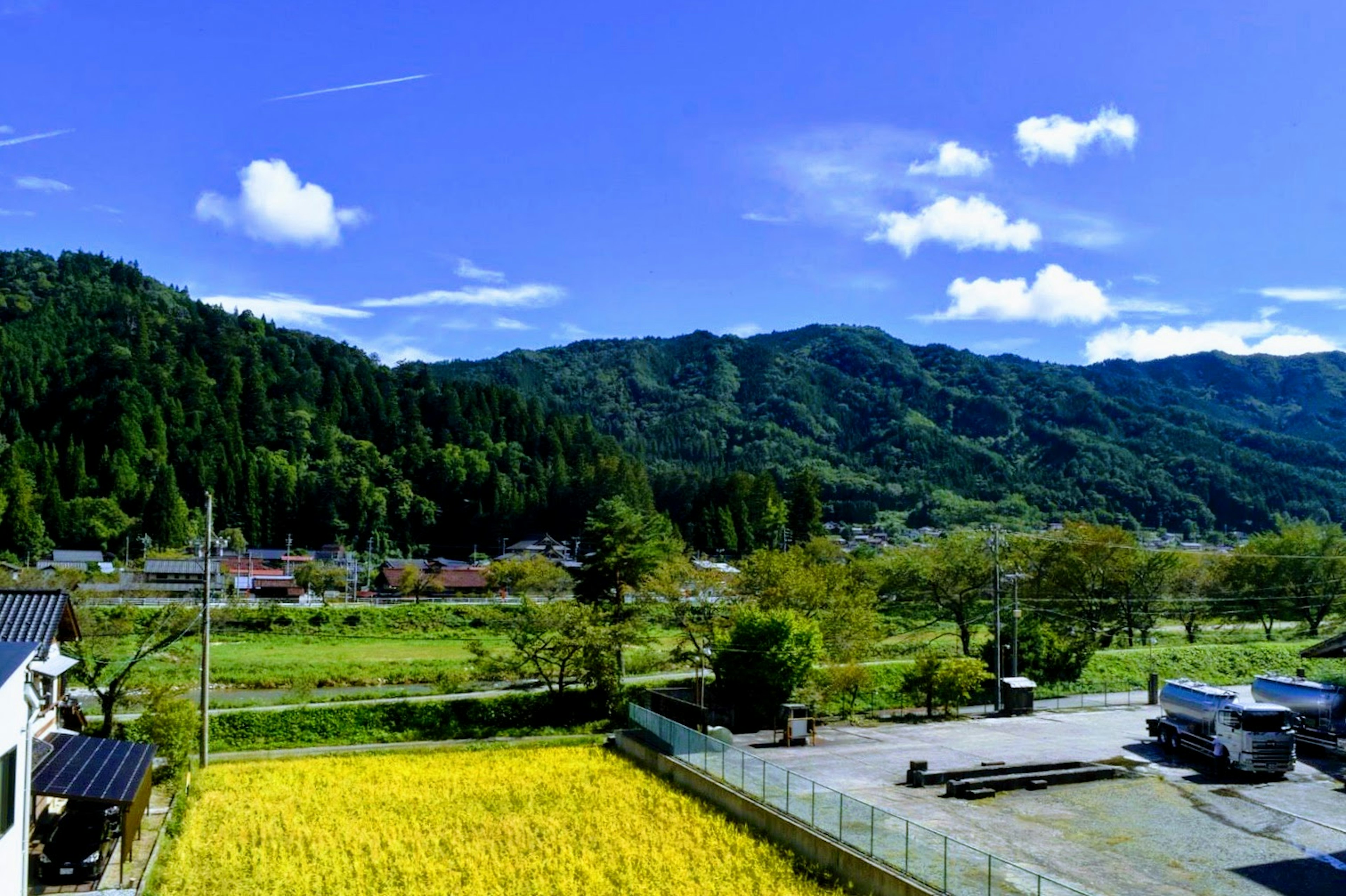 美しい山々と青空の下に広がる黄色い稲田の風景