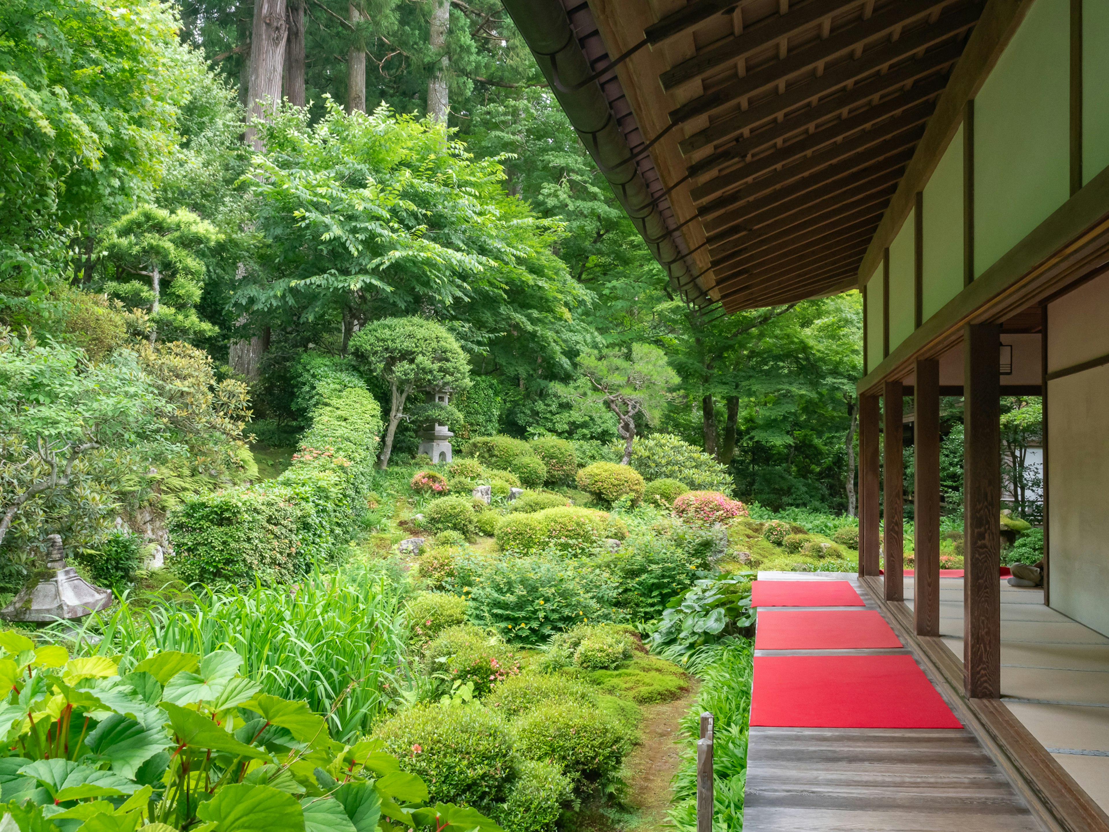 郁郁葱葱的花园和传统建筑的景观