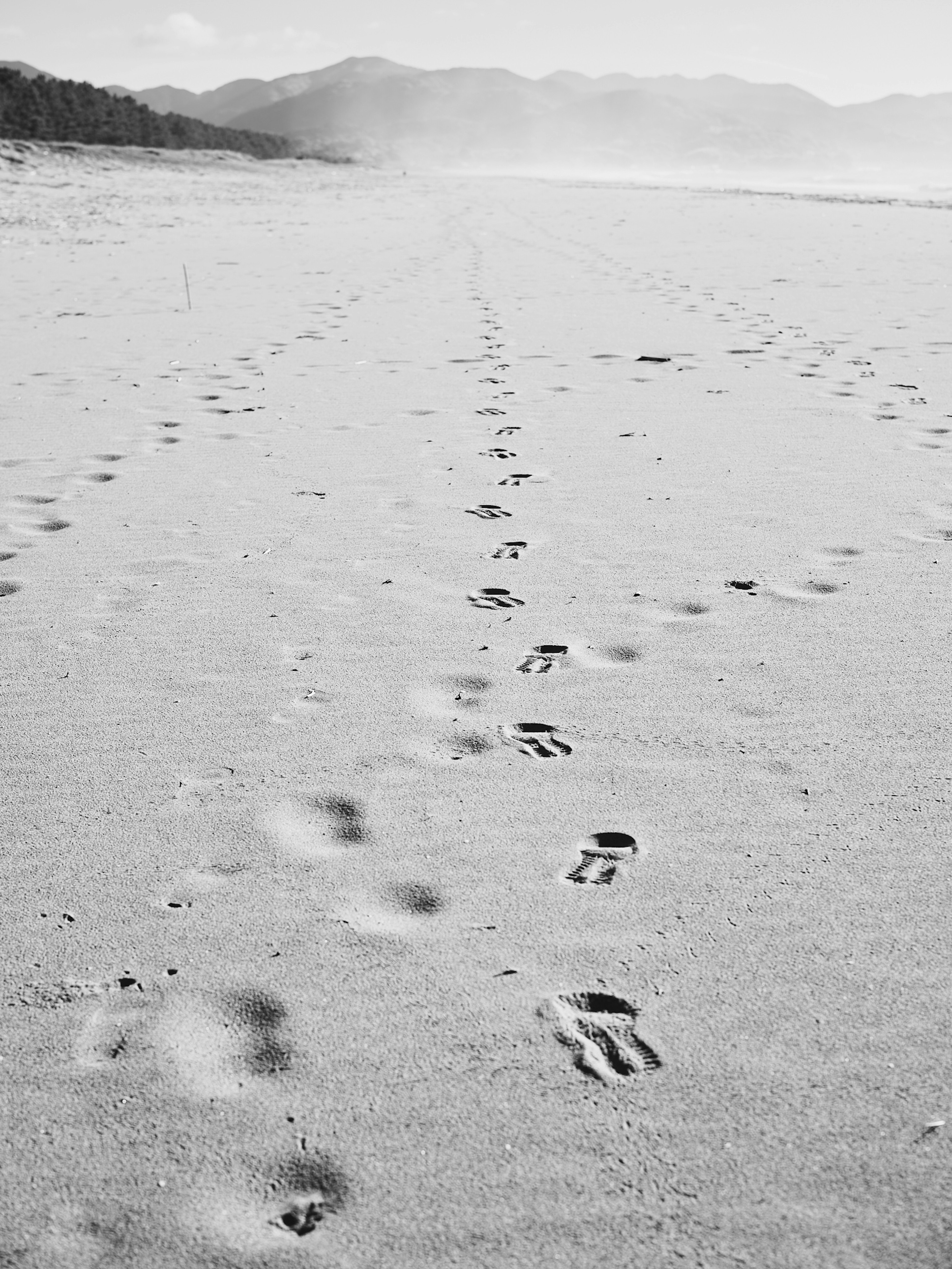 ภาพขาวดำของรอยเท้าบนชายหาดทราย