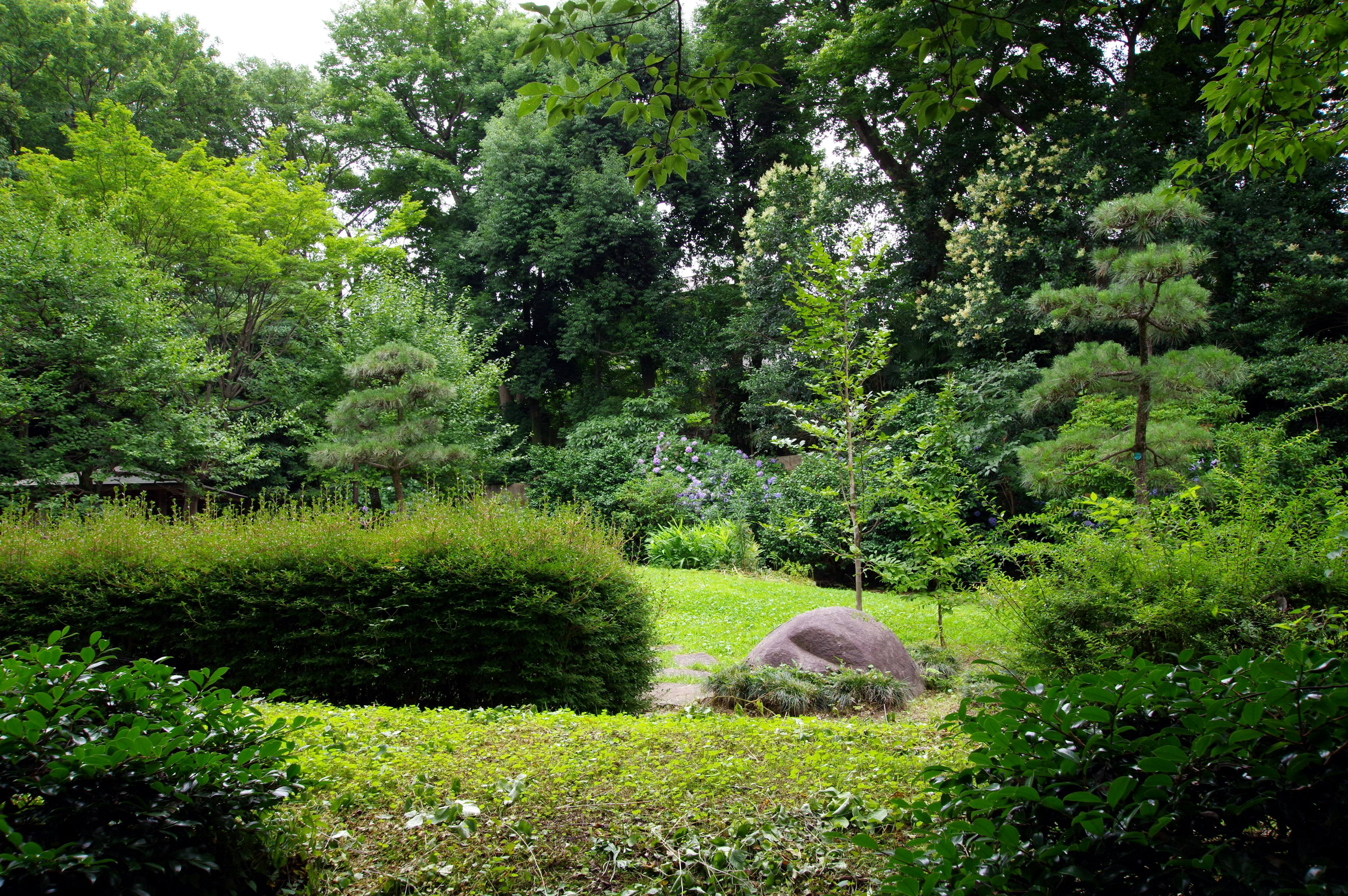 Lush garden landscape featuring a large stone and low shrubs