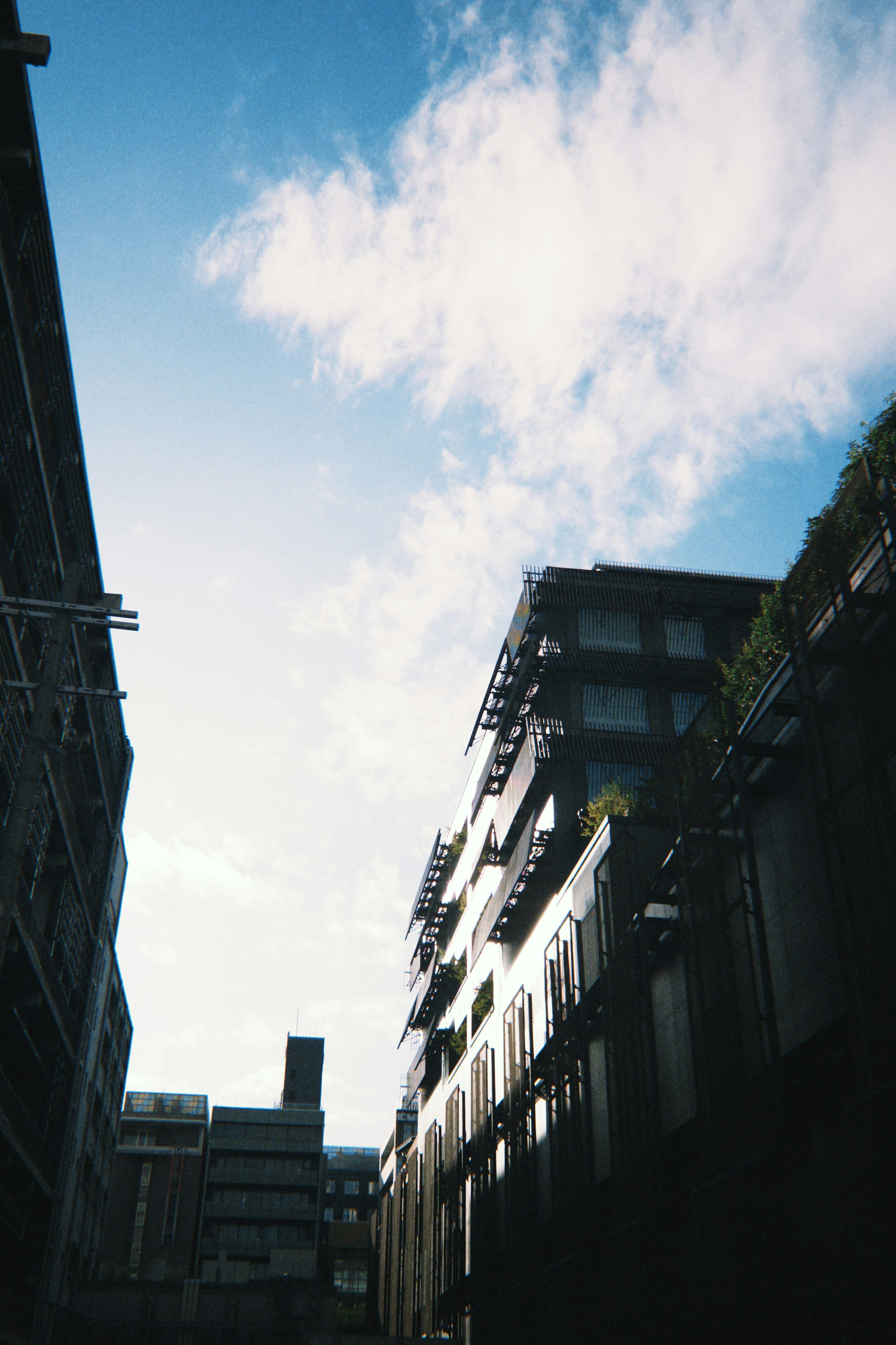 藍天和雲朵背景下的建築輪廓