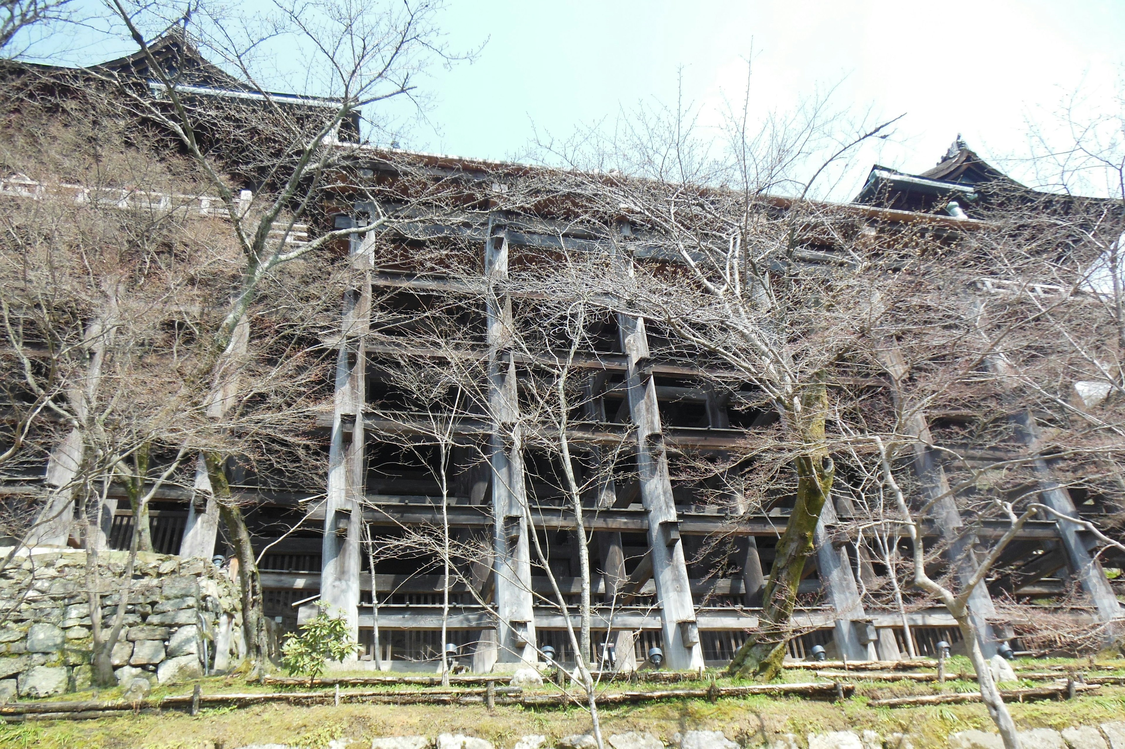 木造の古い建物の構造が見える写真 立てられた木の柱と周囲の木々が特徴