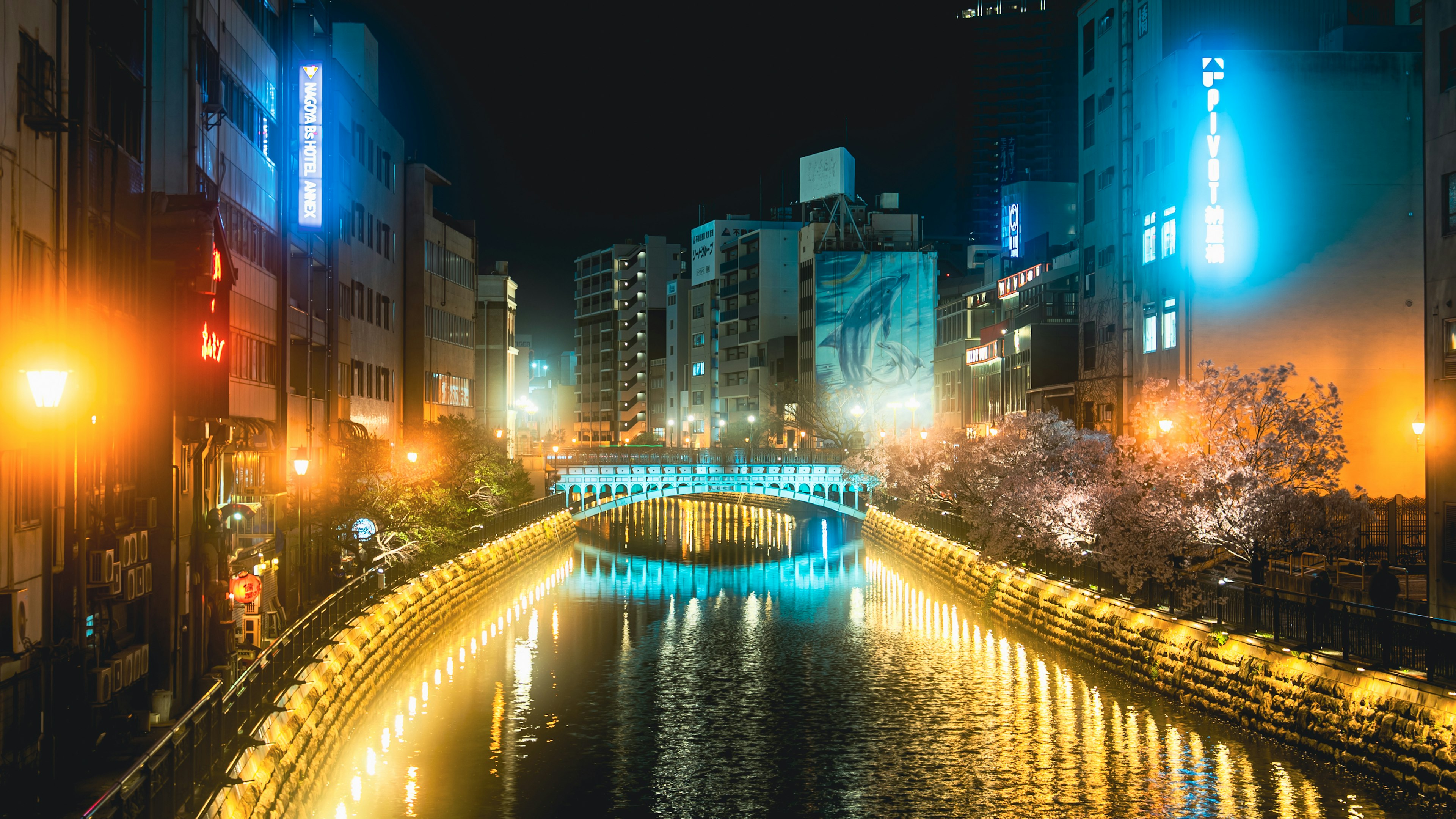 Paysage urbain nocturne avec un pont lumineux et des cerisiers le long de la rivière