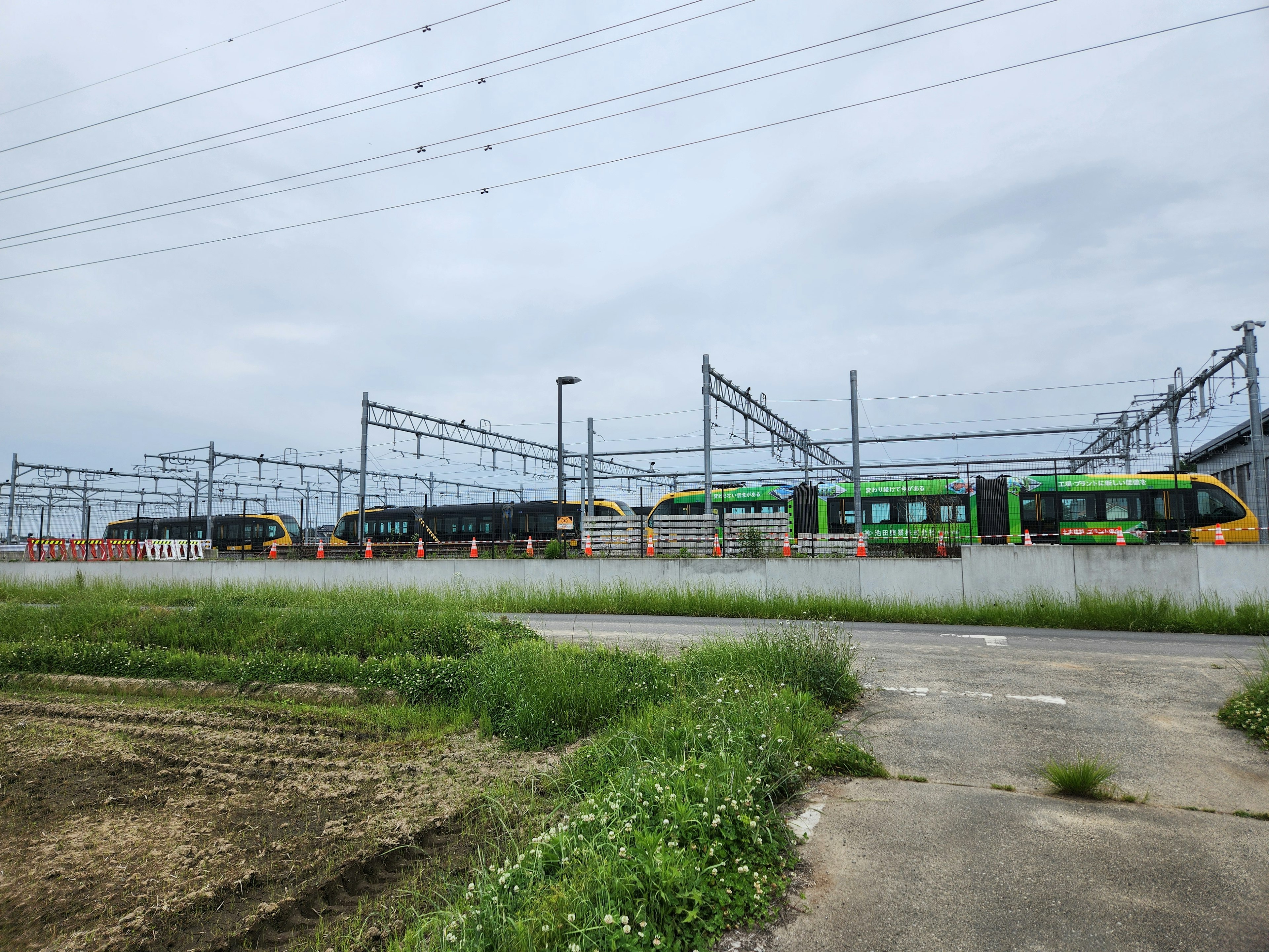 Green trains lined up against an overcast sky and grassy field