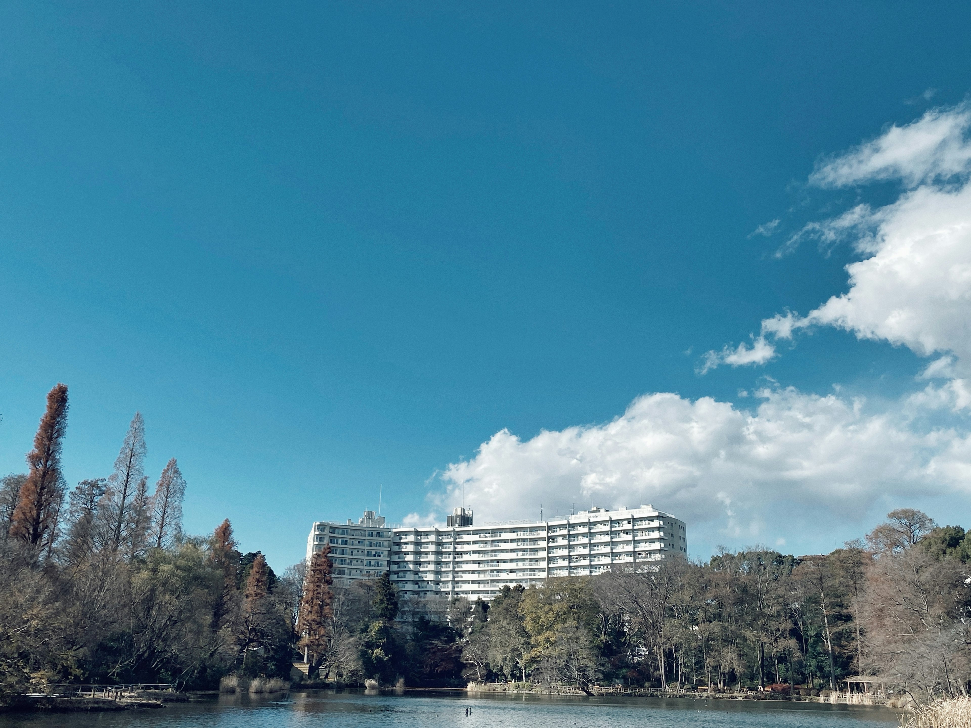 Vue pittoresque d'un lac avec un hôtel blanc sous un ciel bleu et des nuages