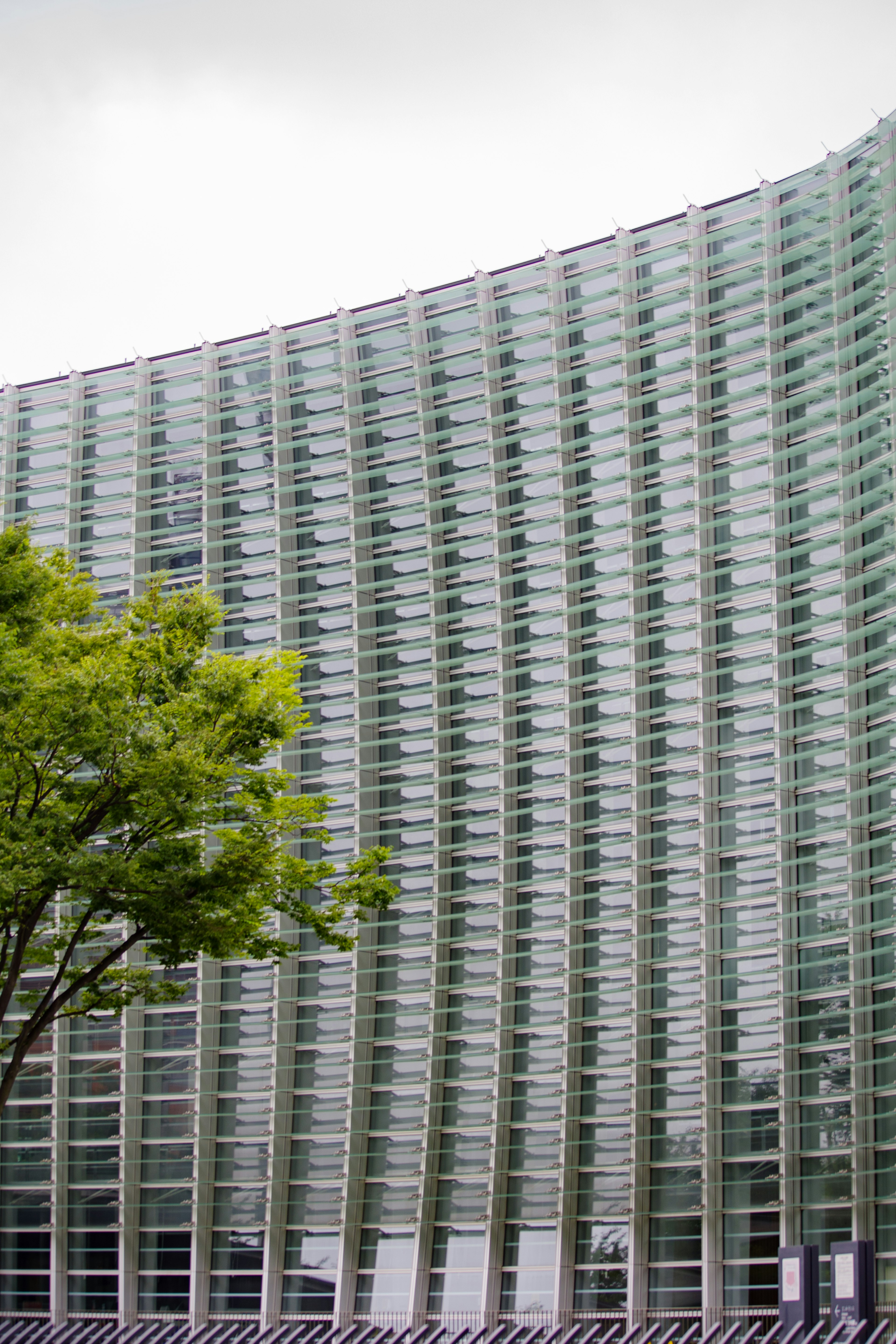 Modernes Glasgebäude mit gewölbter Fassade und grünem Baum