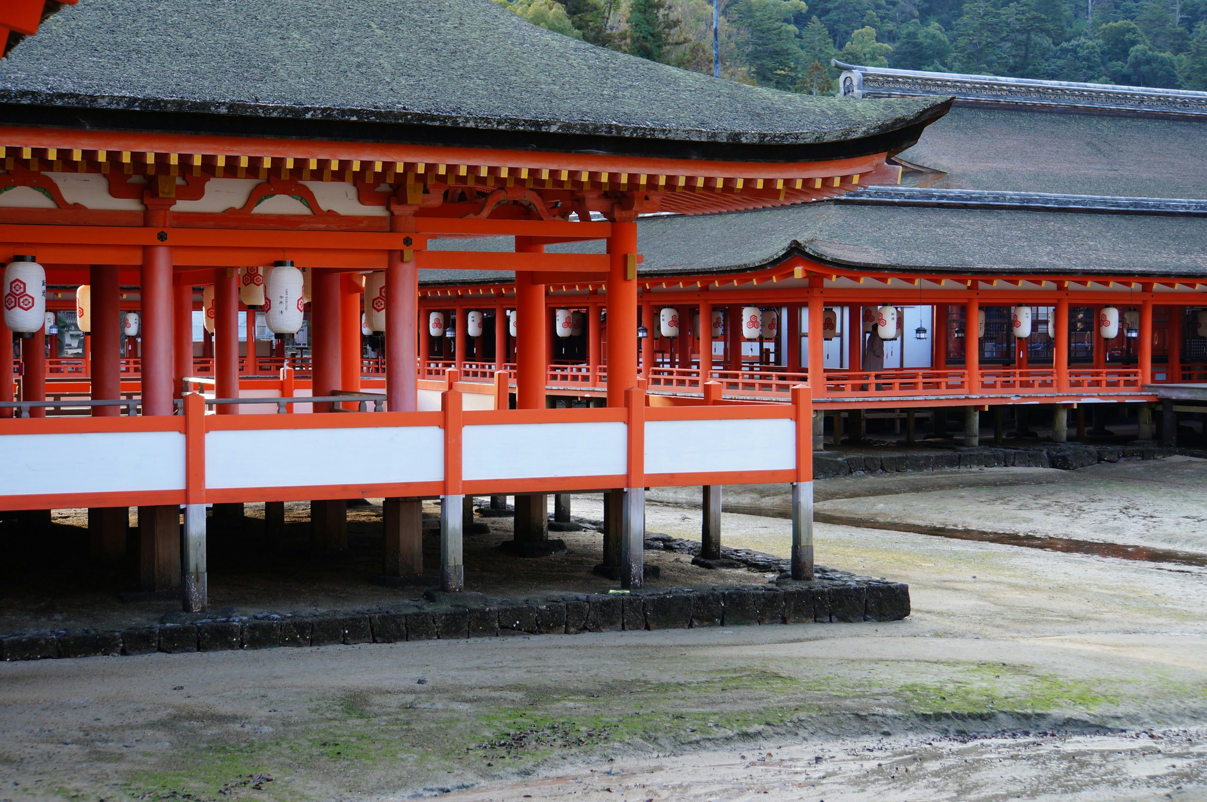 View of red shrine buildings with wooden structures