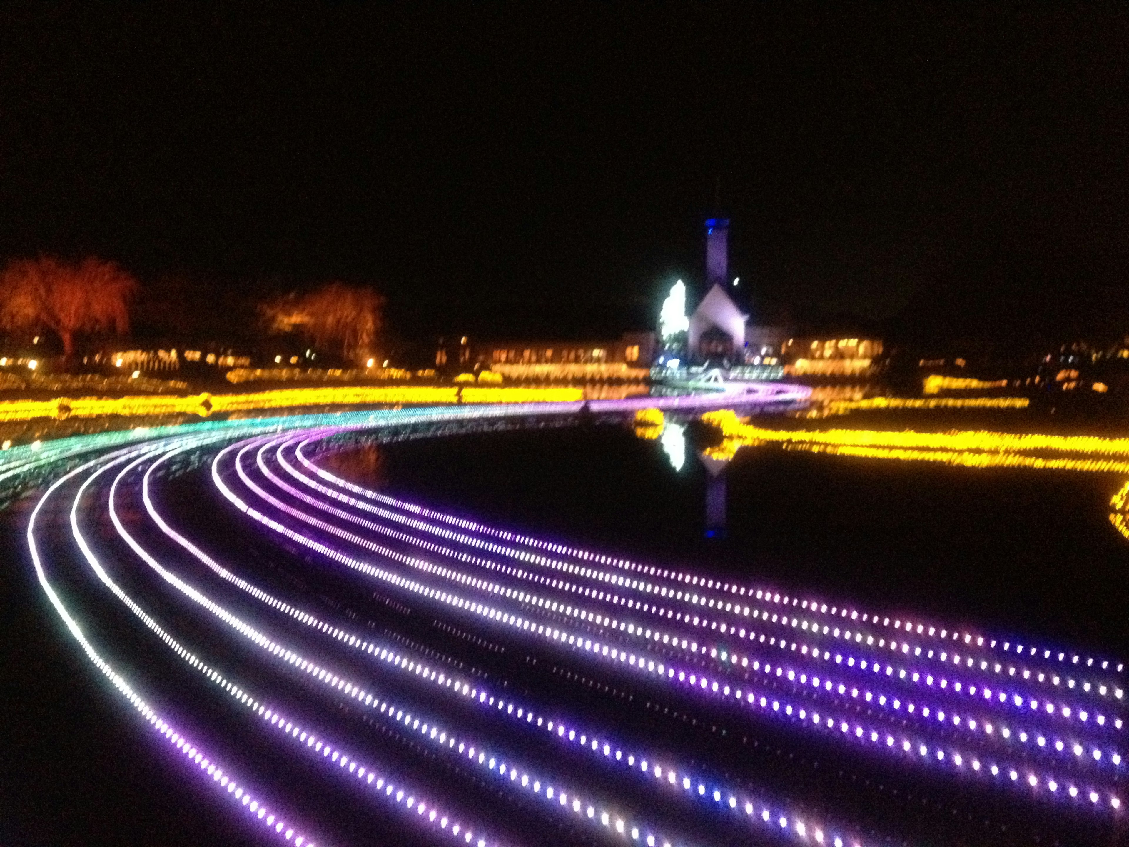 Hermosas curvas iluminadas en un parque por la noche con reflejos en el agua