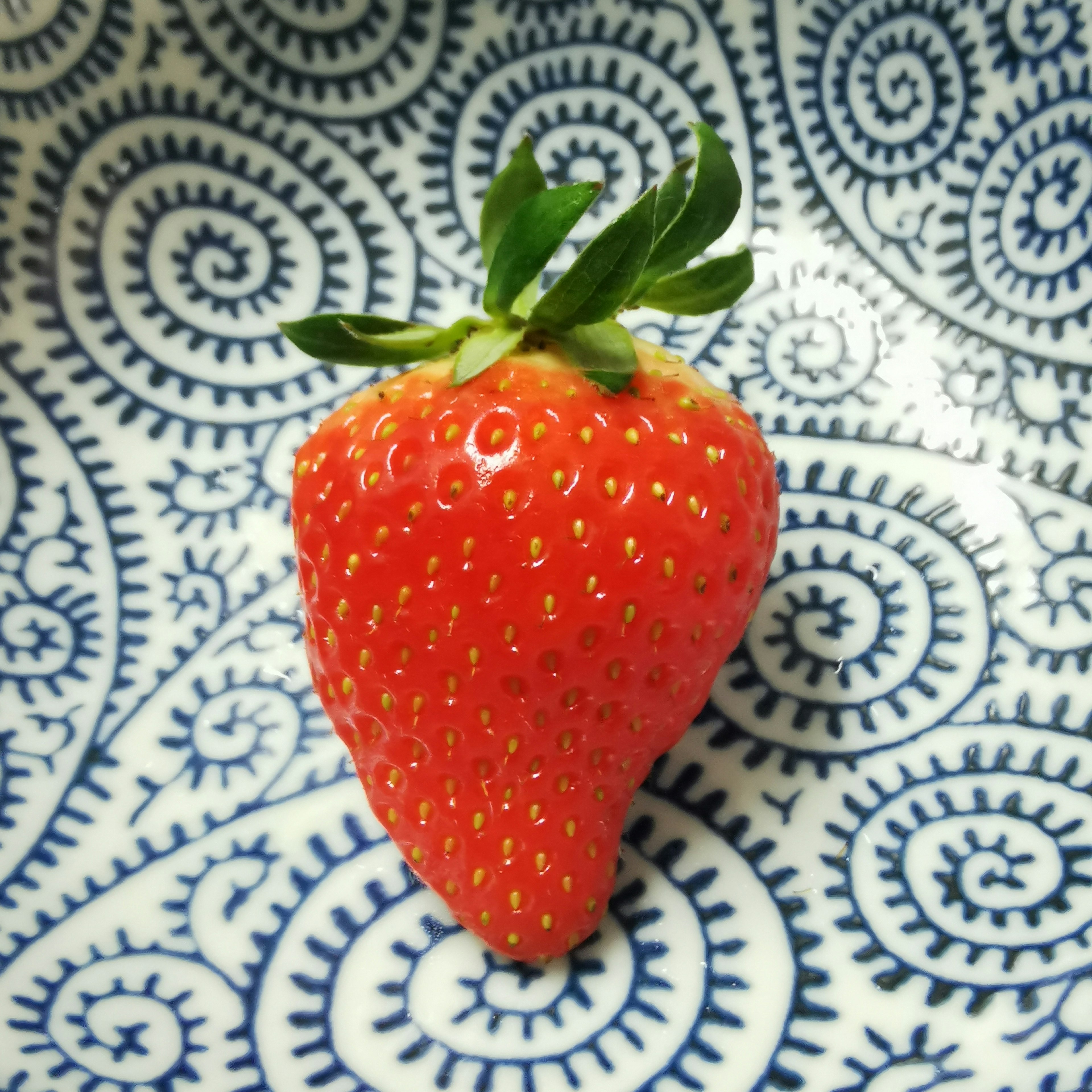 Fraise fraîche posée sur une assiette à motifs bleus