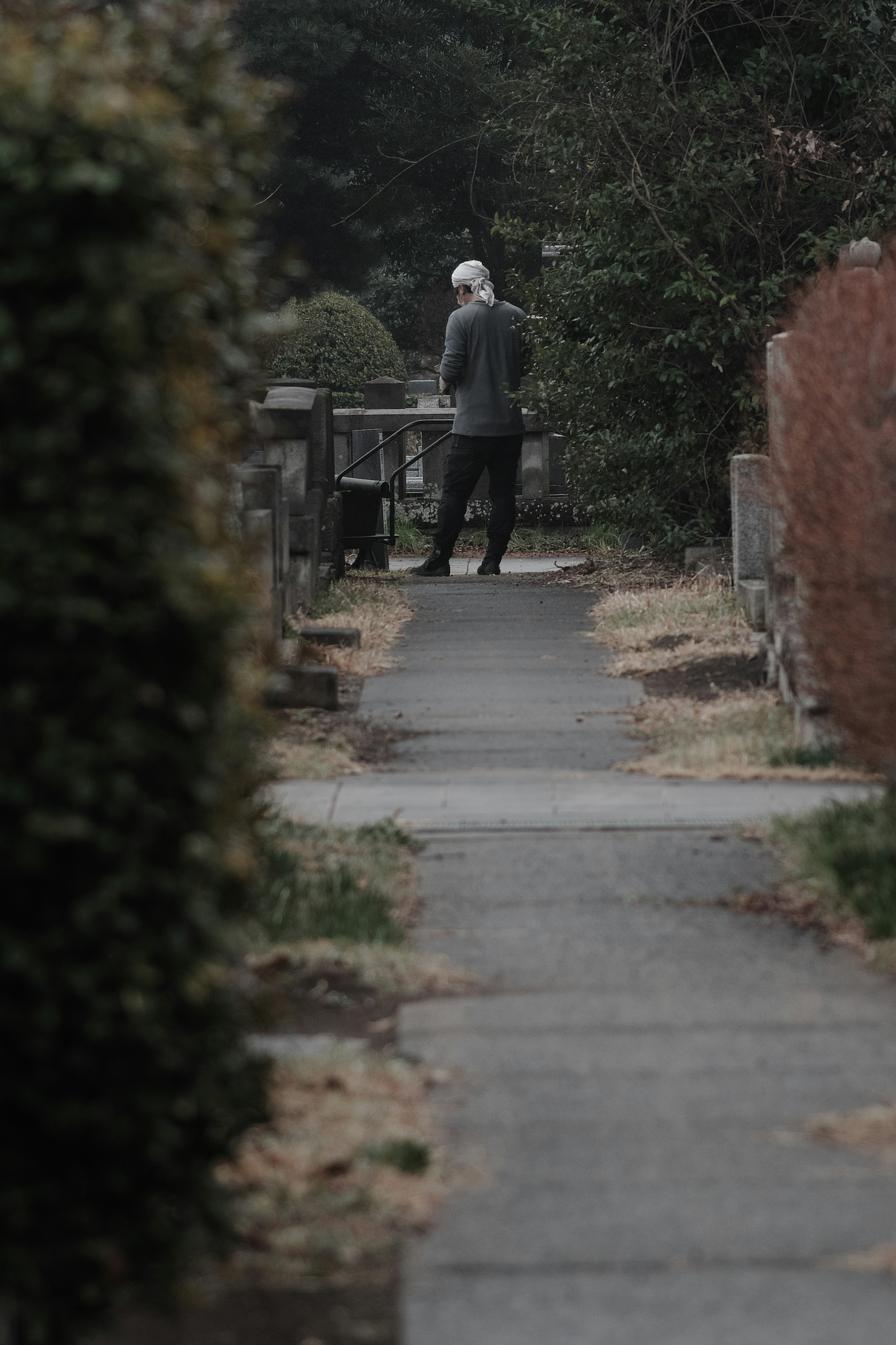 Hombre anciano caminando por un camino rodeado de vegetación