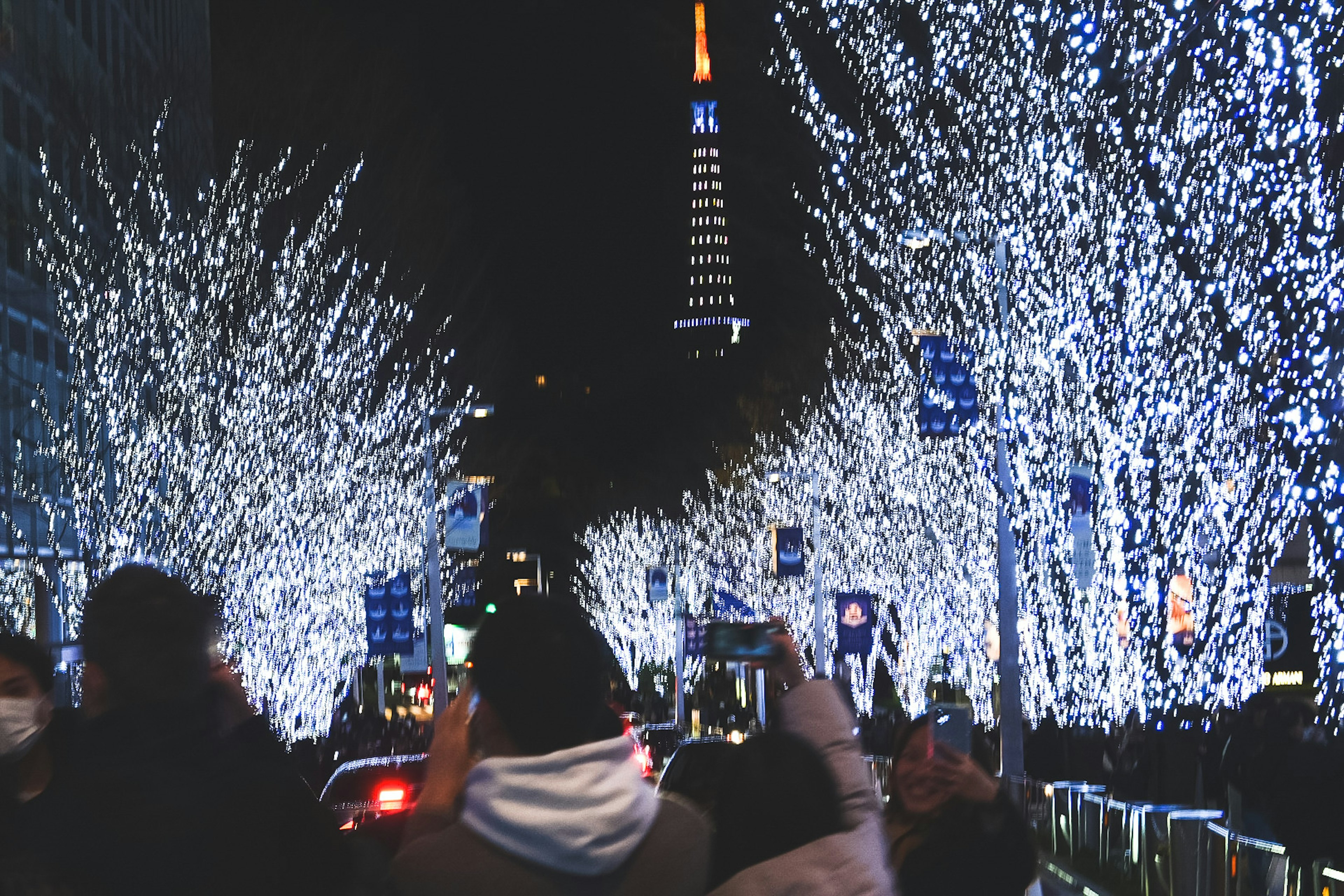 Scena notturna con la Torre di Tokyo e alberi illuminati