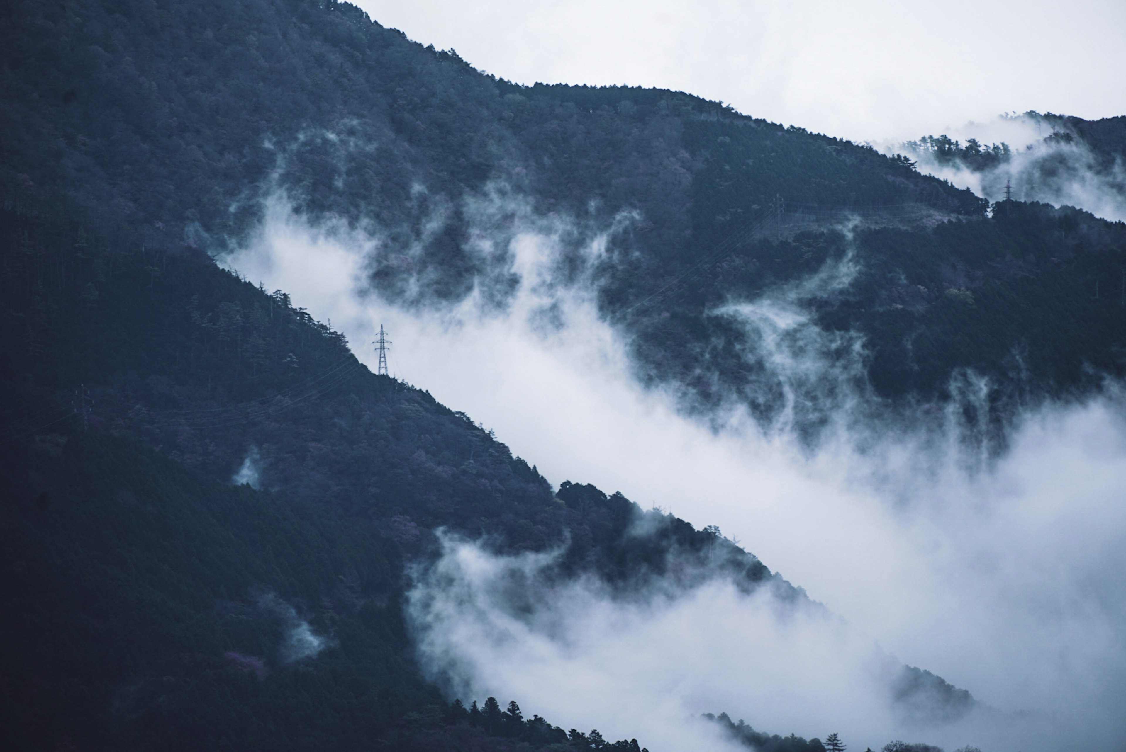 霧に包まれた山々の風景で青いトーンが強調されている