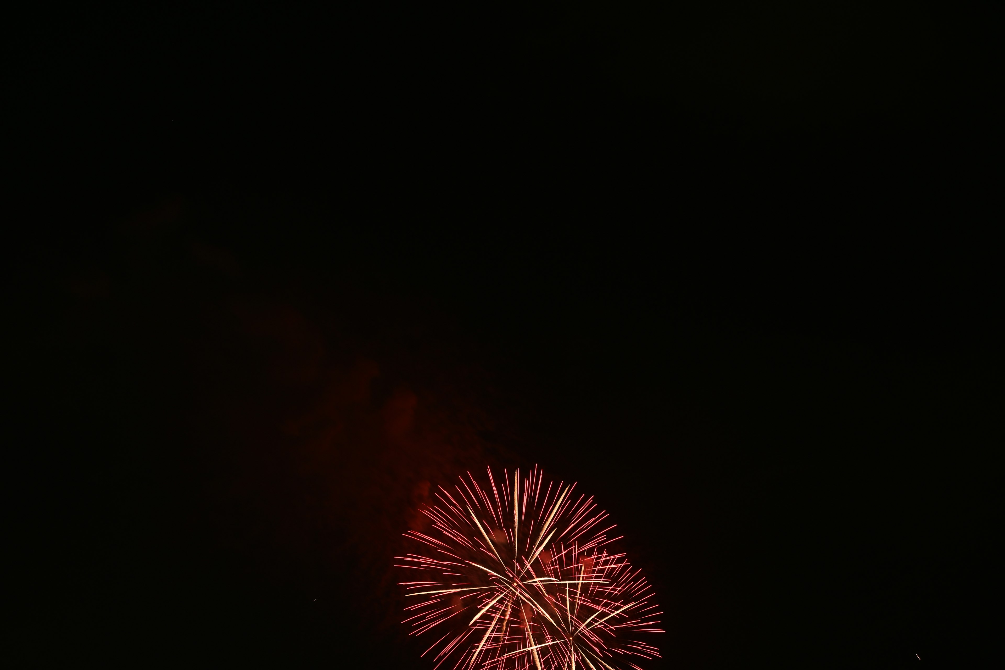 A vibrant red firework bursting in the night sky