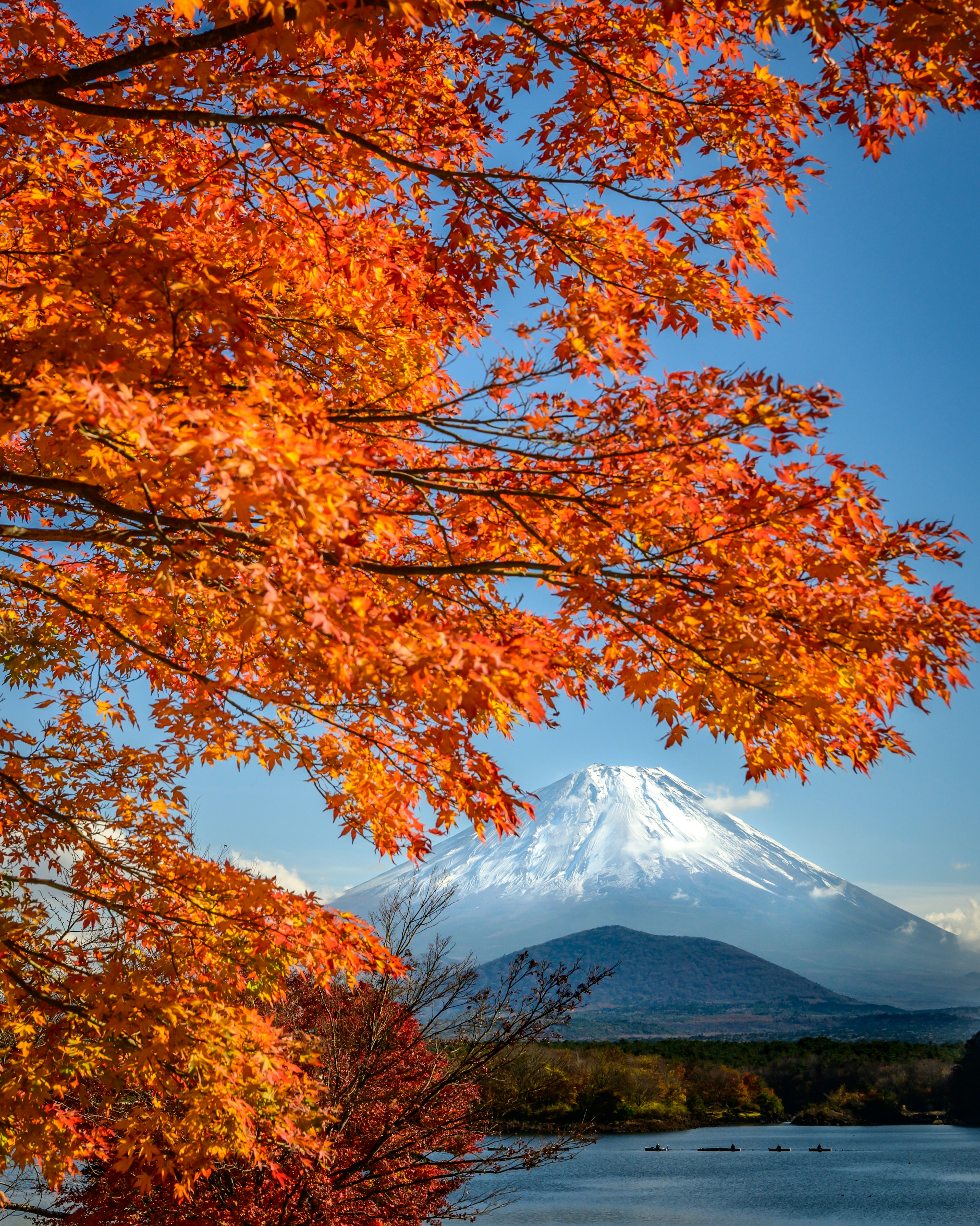 美しい秋の紅葉と富士山の風景